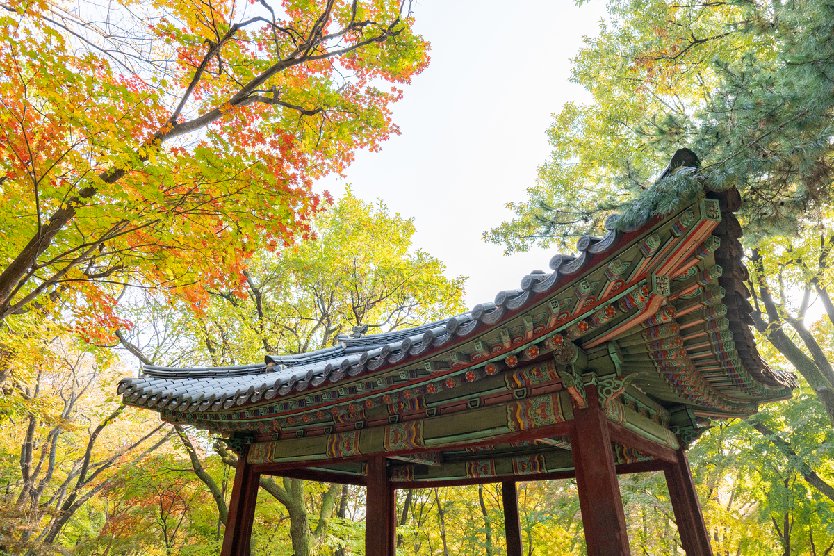 秋季韩国传统建筑 - 韩国首尔