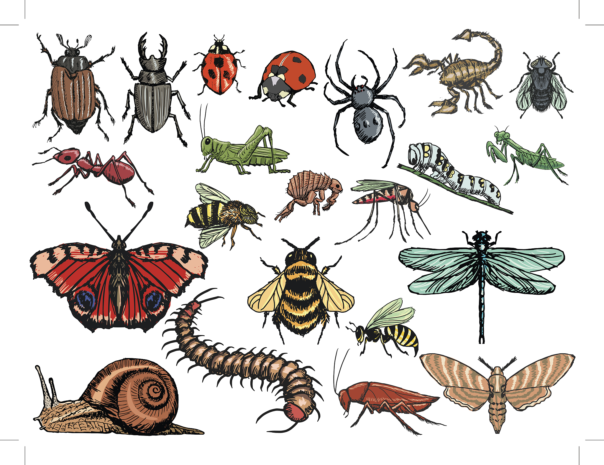 Insect Science期刊研究范围及方向