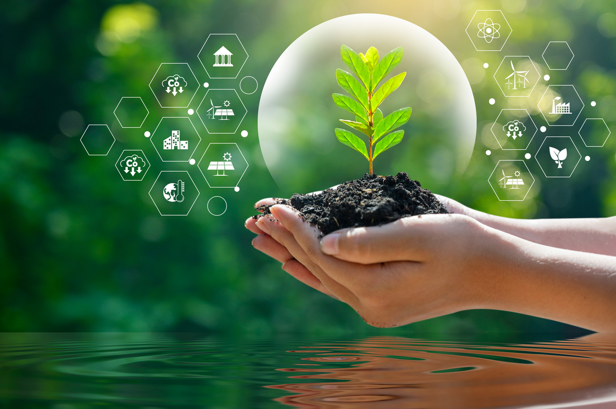 生物技术与环境保护：应用、风险与展望