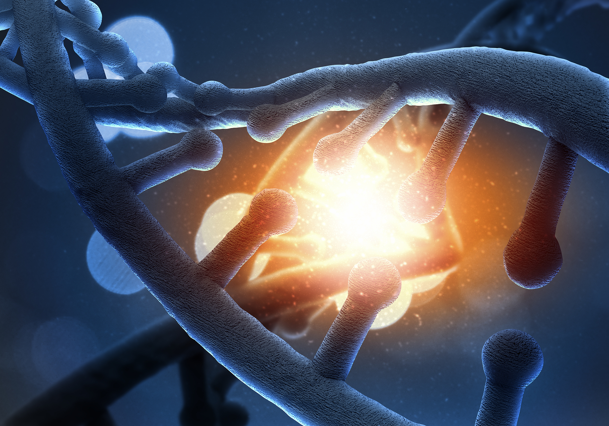 谁是国际生物化学与细胞生物学杂志的现任主编？