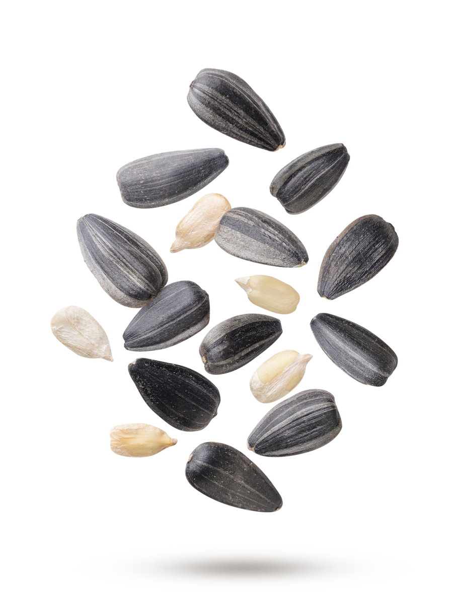 葵花籽：果实还是种子？营养价值与应用详解