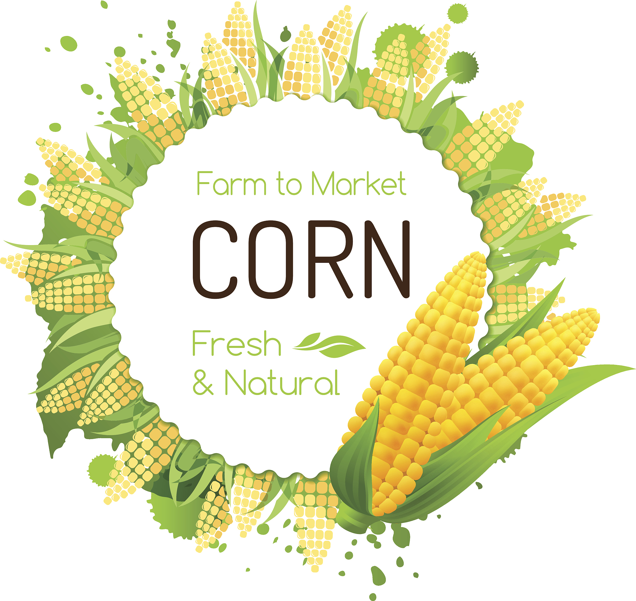 French Maize Yields: Rainfall Boost, Temperature and Solar Radiation Hinder