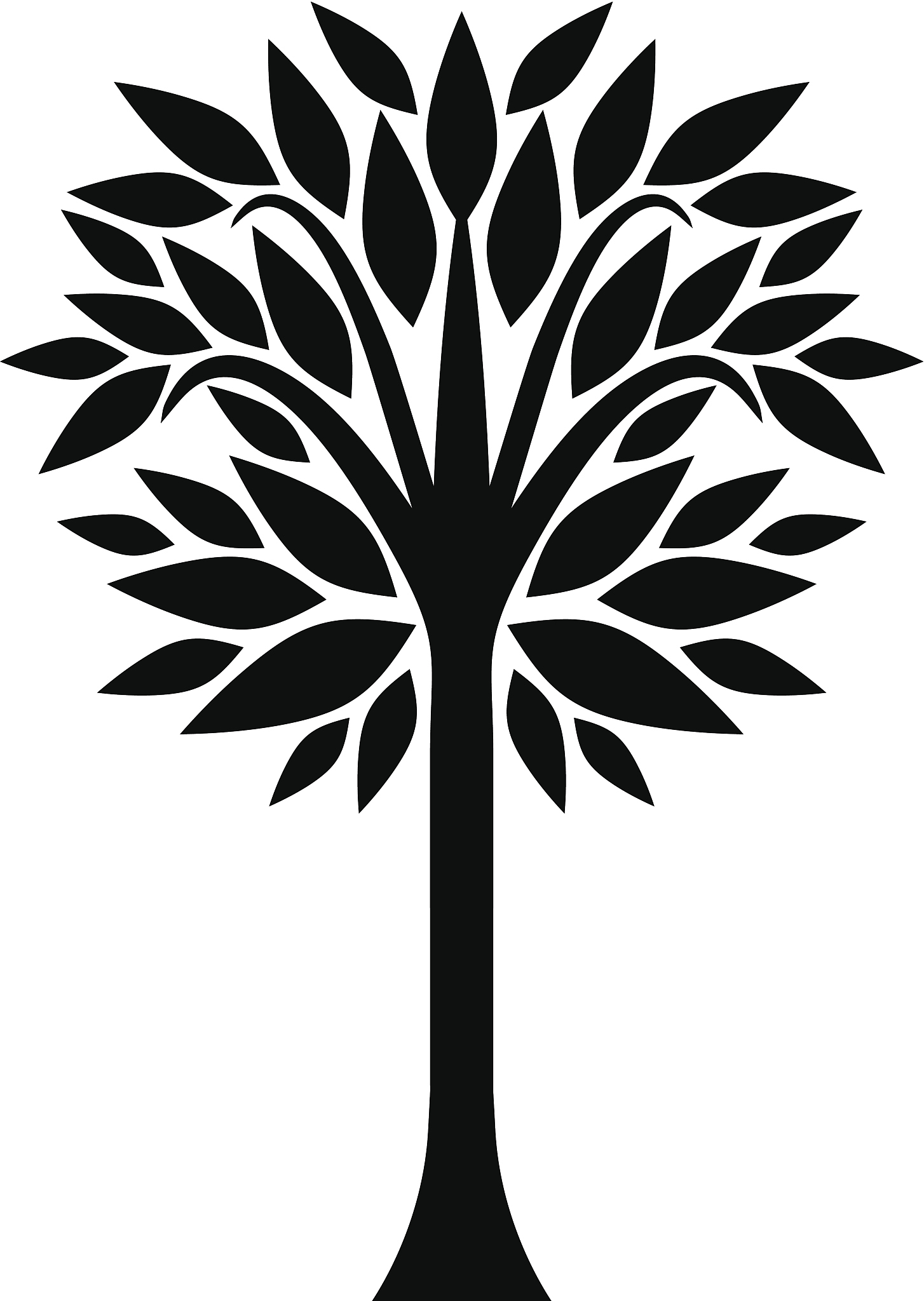 tall tree