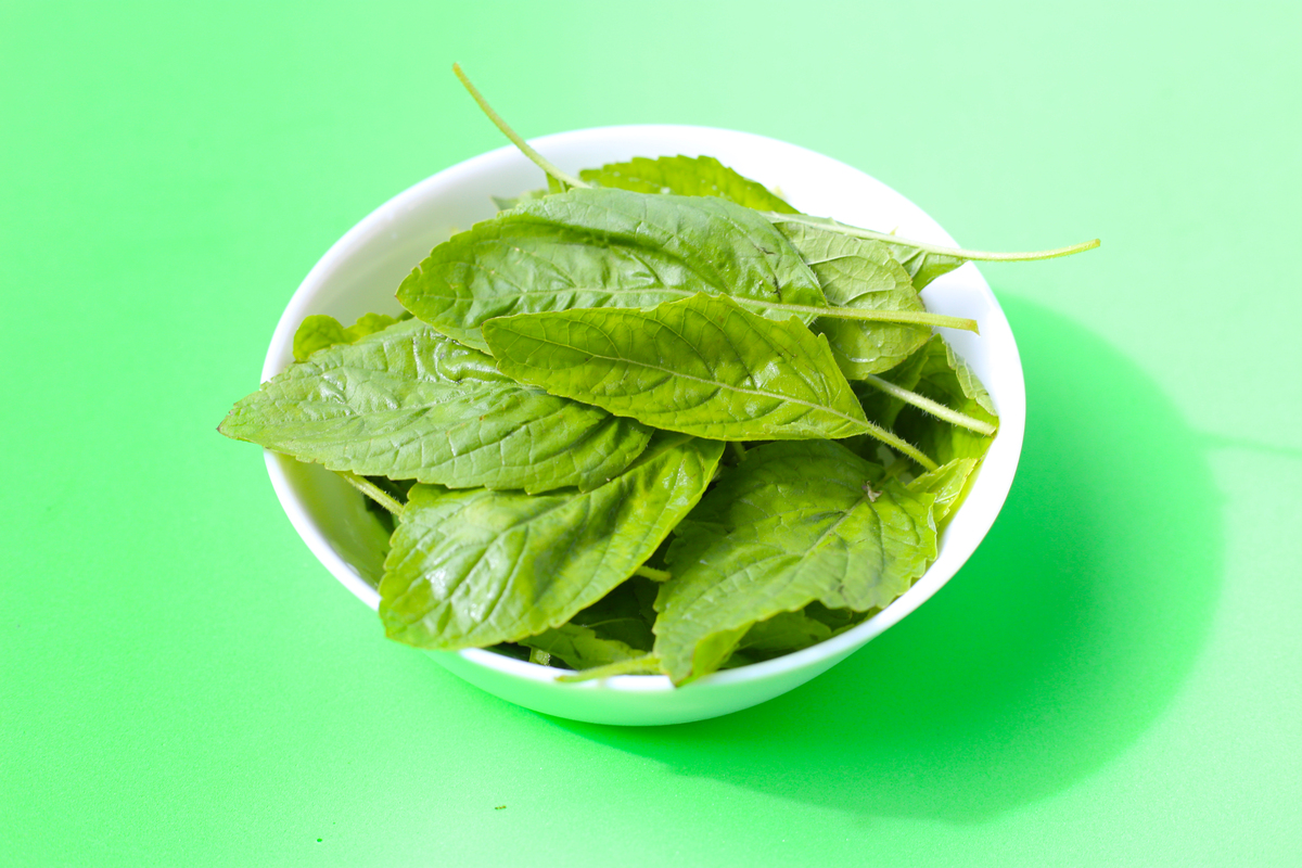 柚子叶煮水功效：清热解毒、减肥、抗氧化、降压？