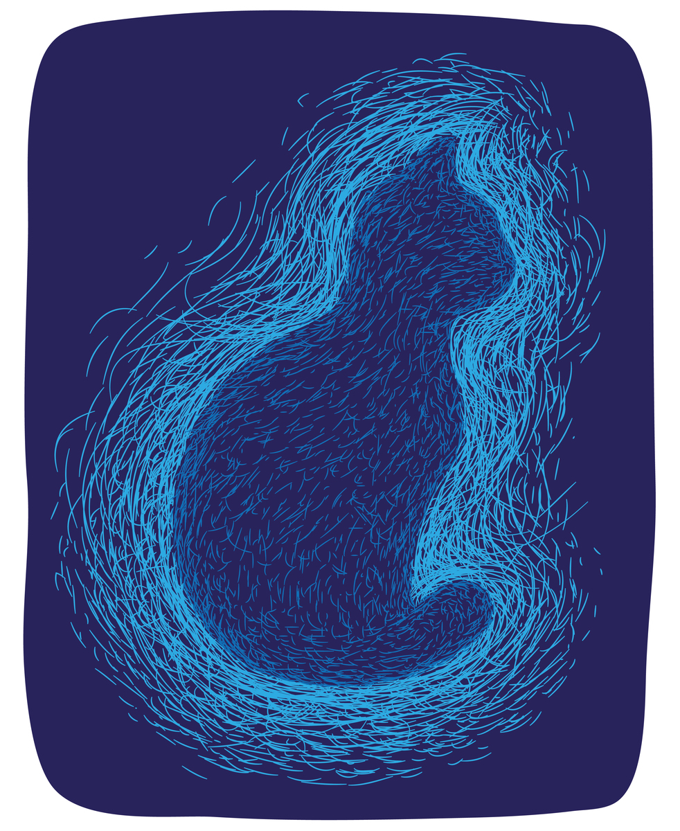造型与形象设计专业主要学习哪些课程