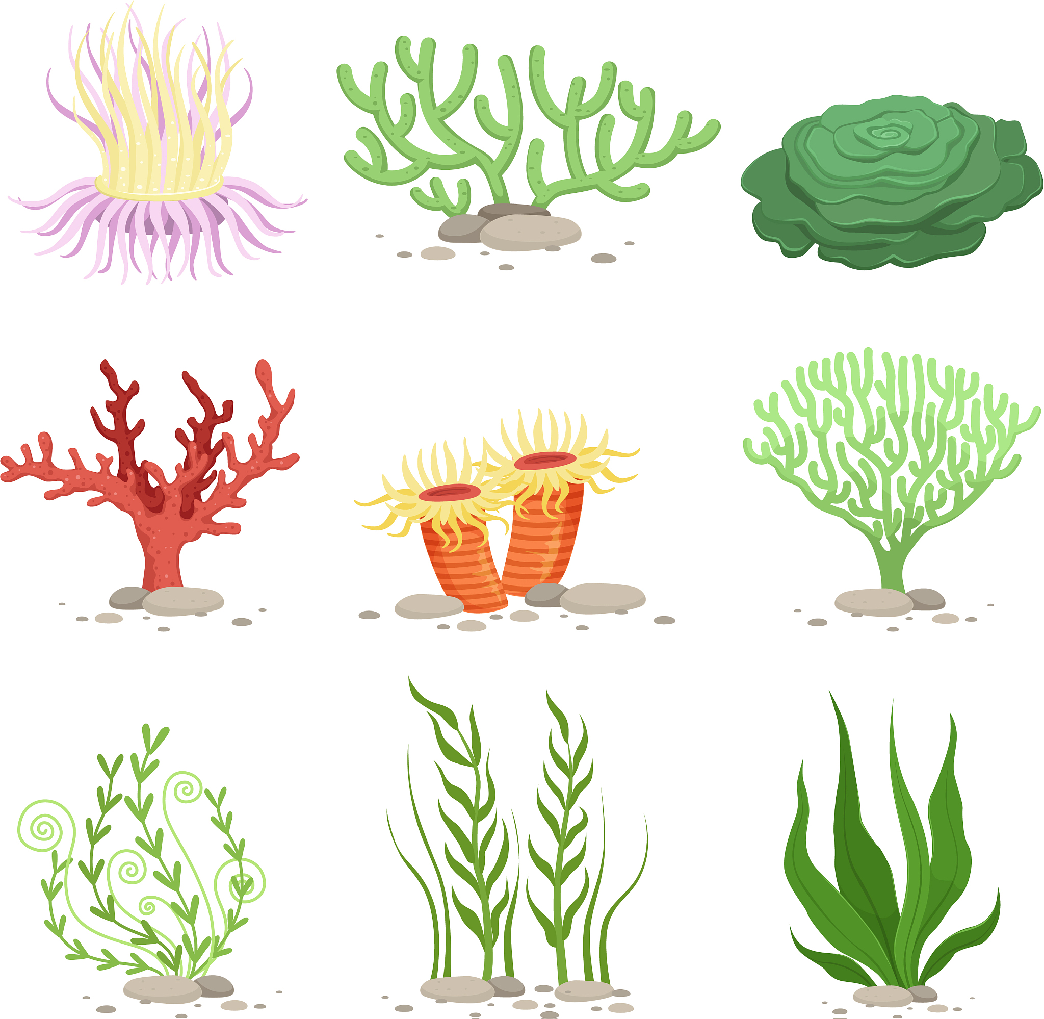 set of underwater plants funny