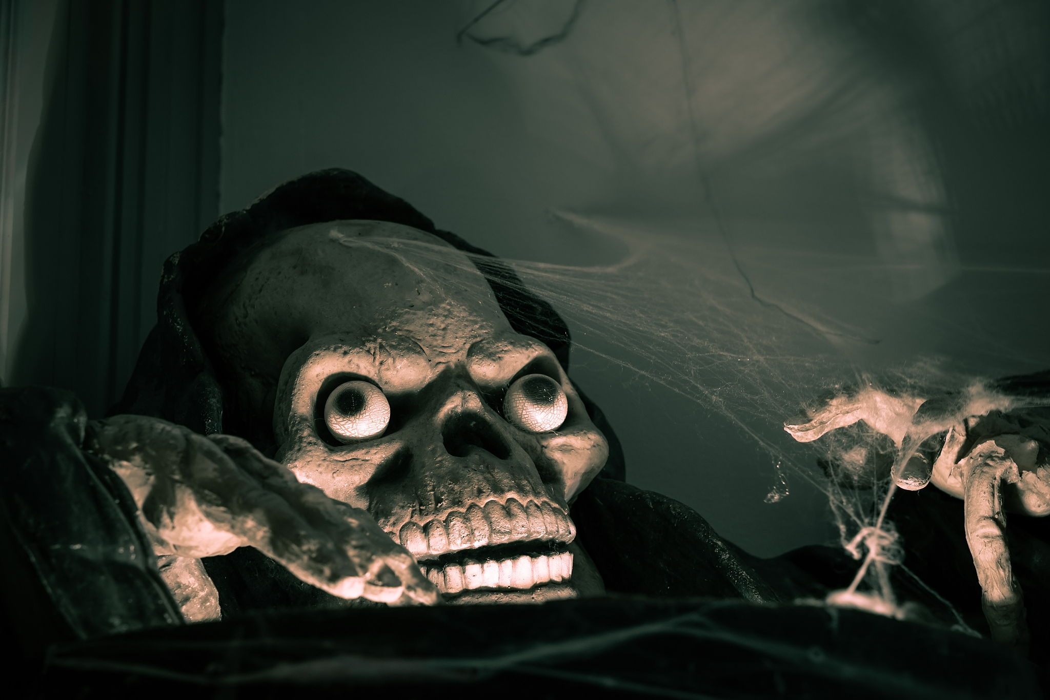 artificial skull. halloween decoration.