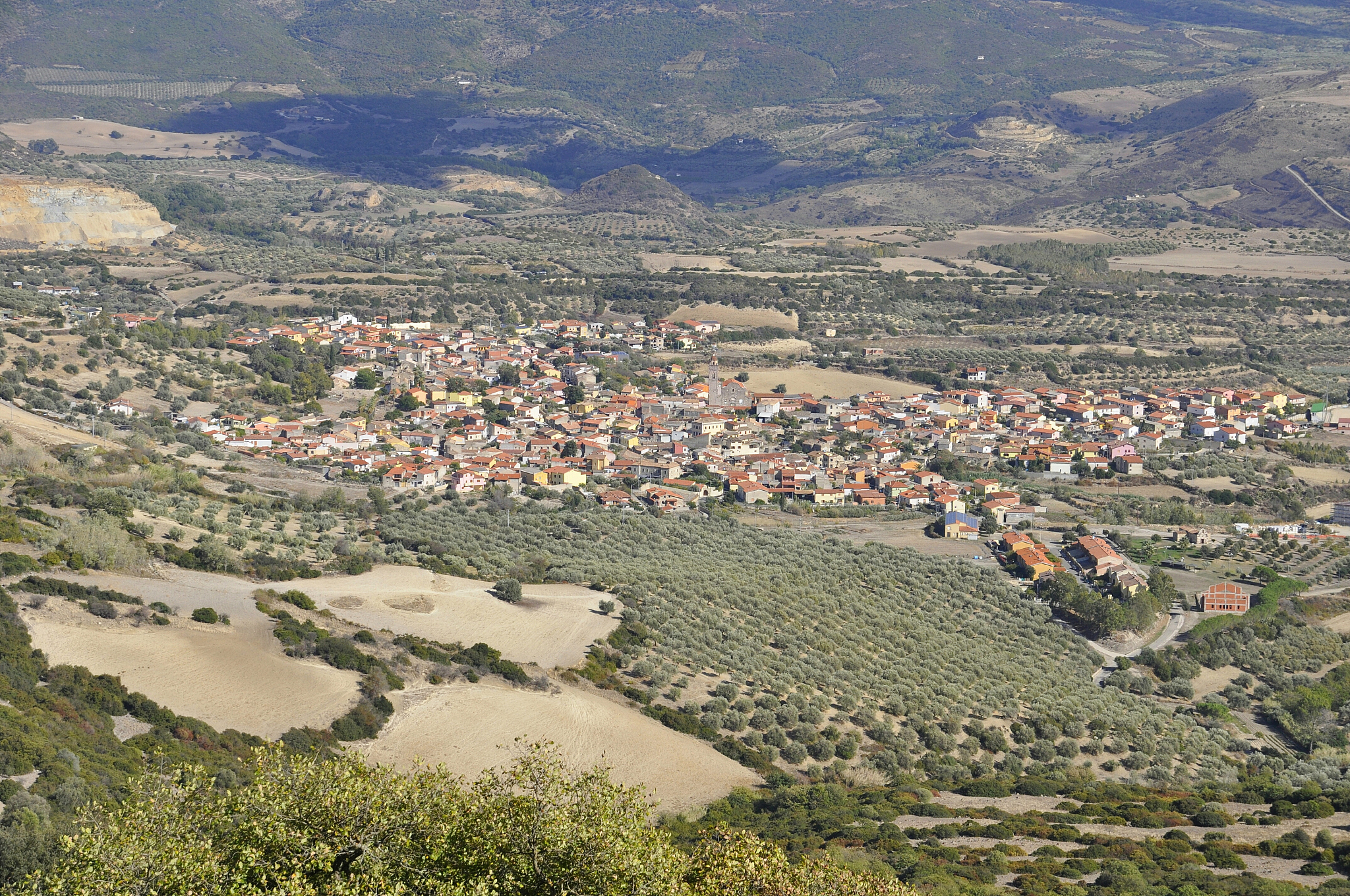high angle view of agricultural field
