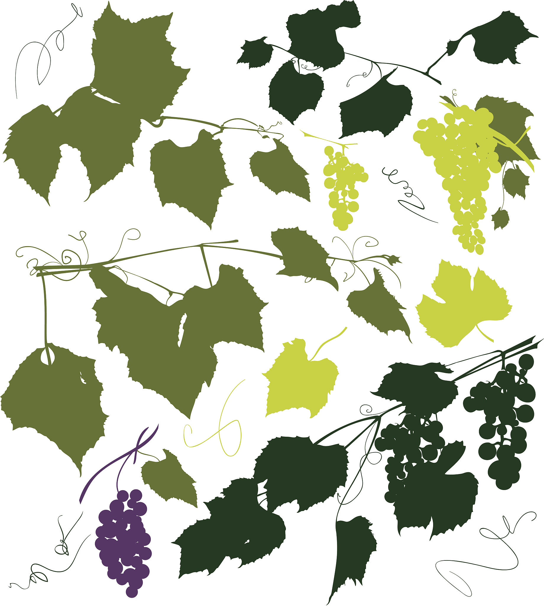 grapevine & grapes silhouettes