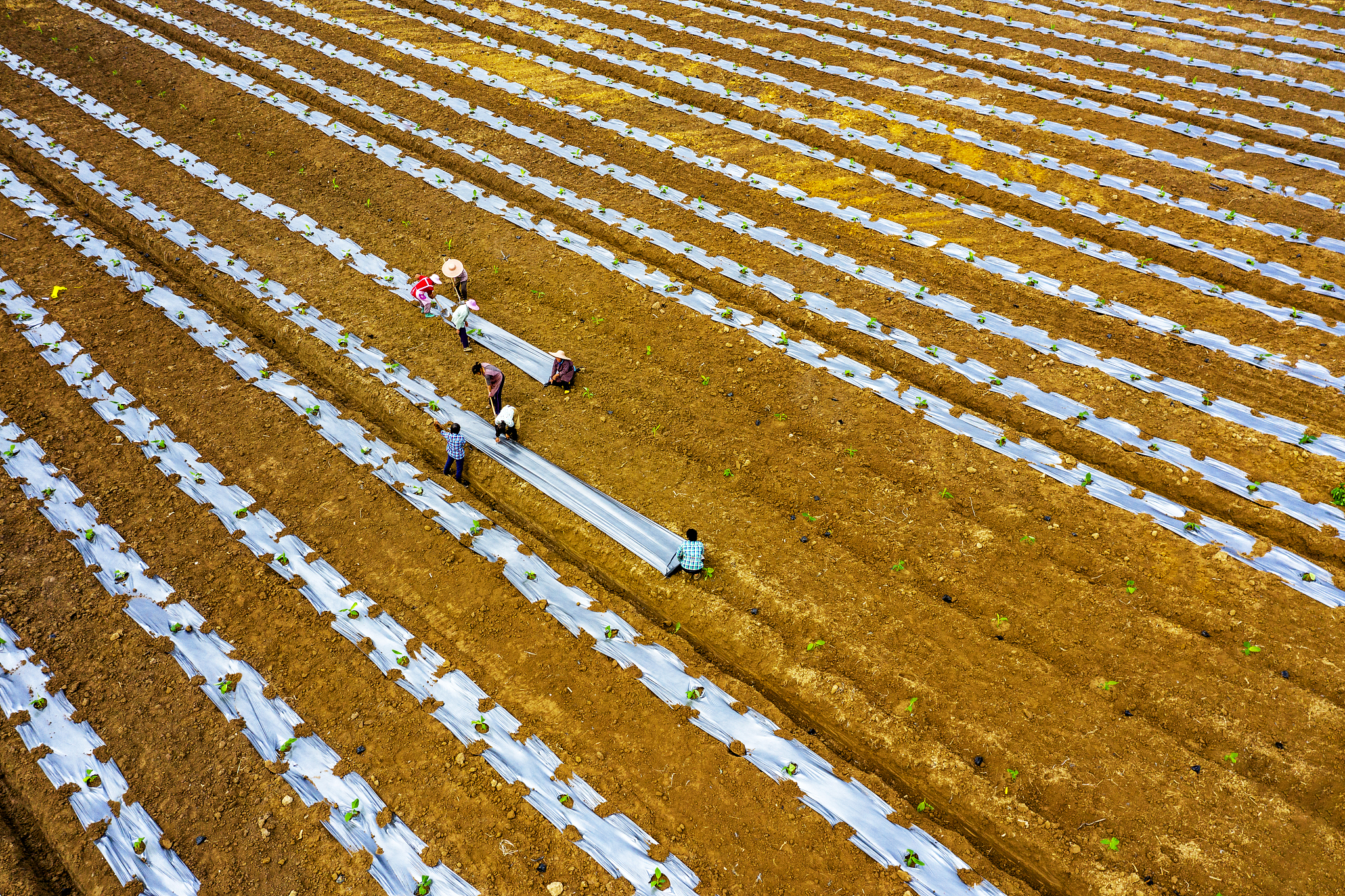 论述在延长县郊区农村开展农业机械化推广现状调查和访谈过程写出调查时间、调查过程、调查结果不少于300字。