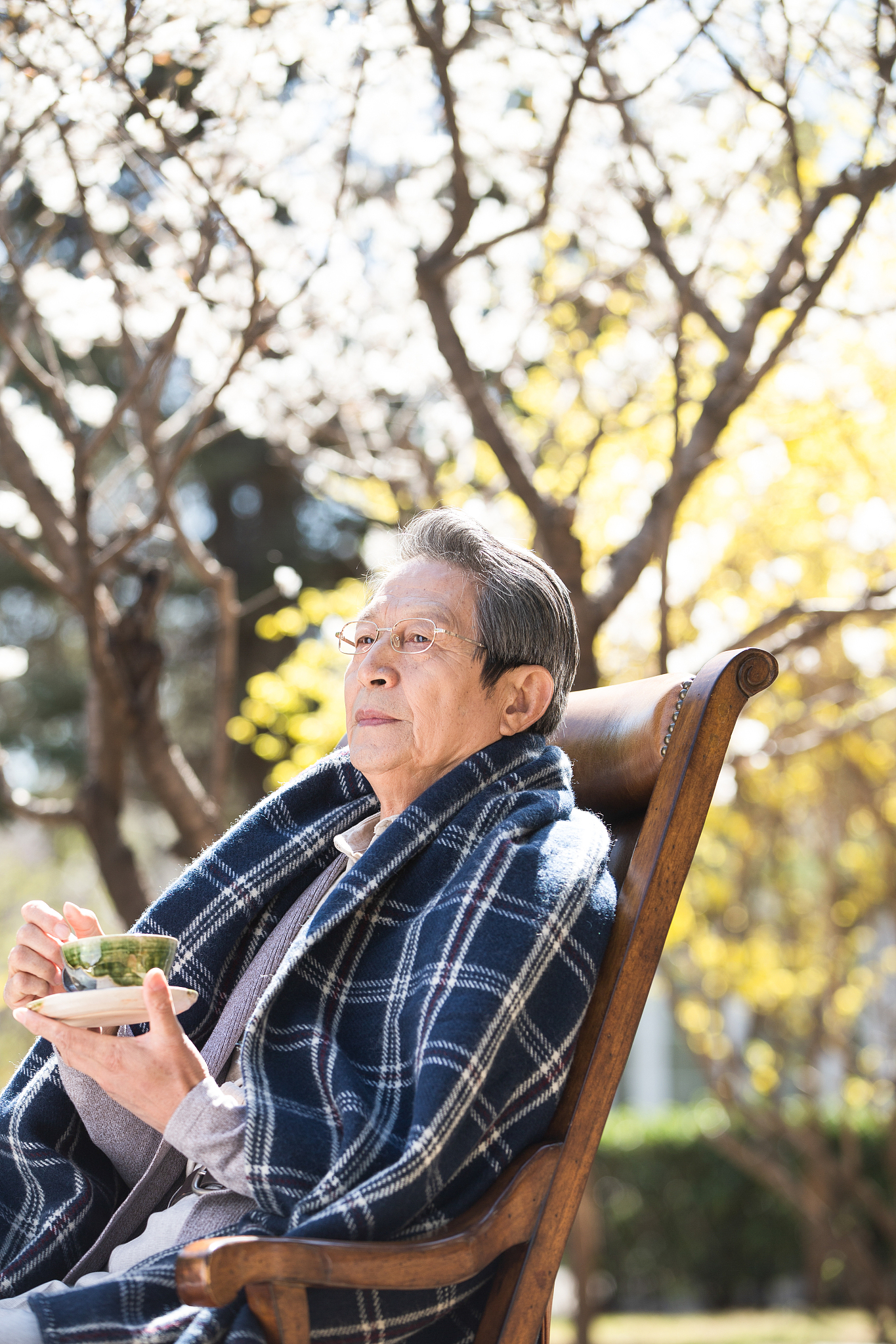 一位平凡而伟大的老人：关于生活和人生的诗意感悟