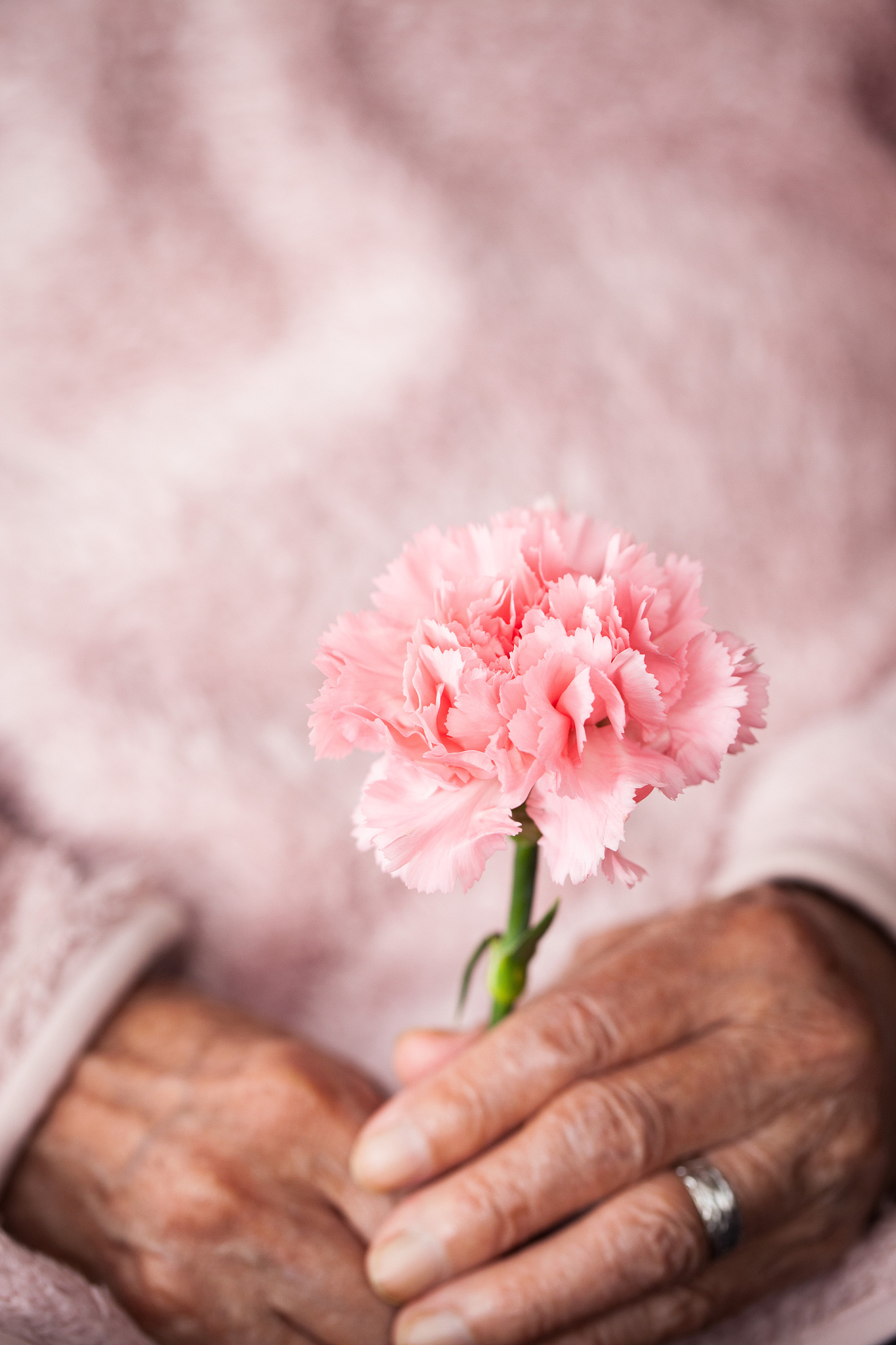 送花给妈妈，让爱如影随形