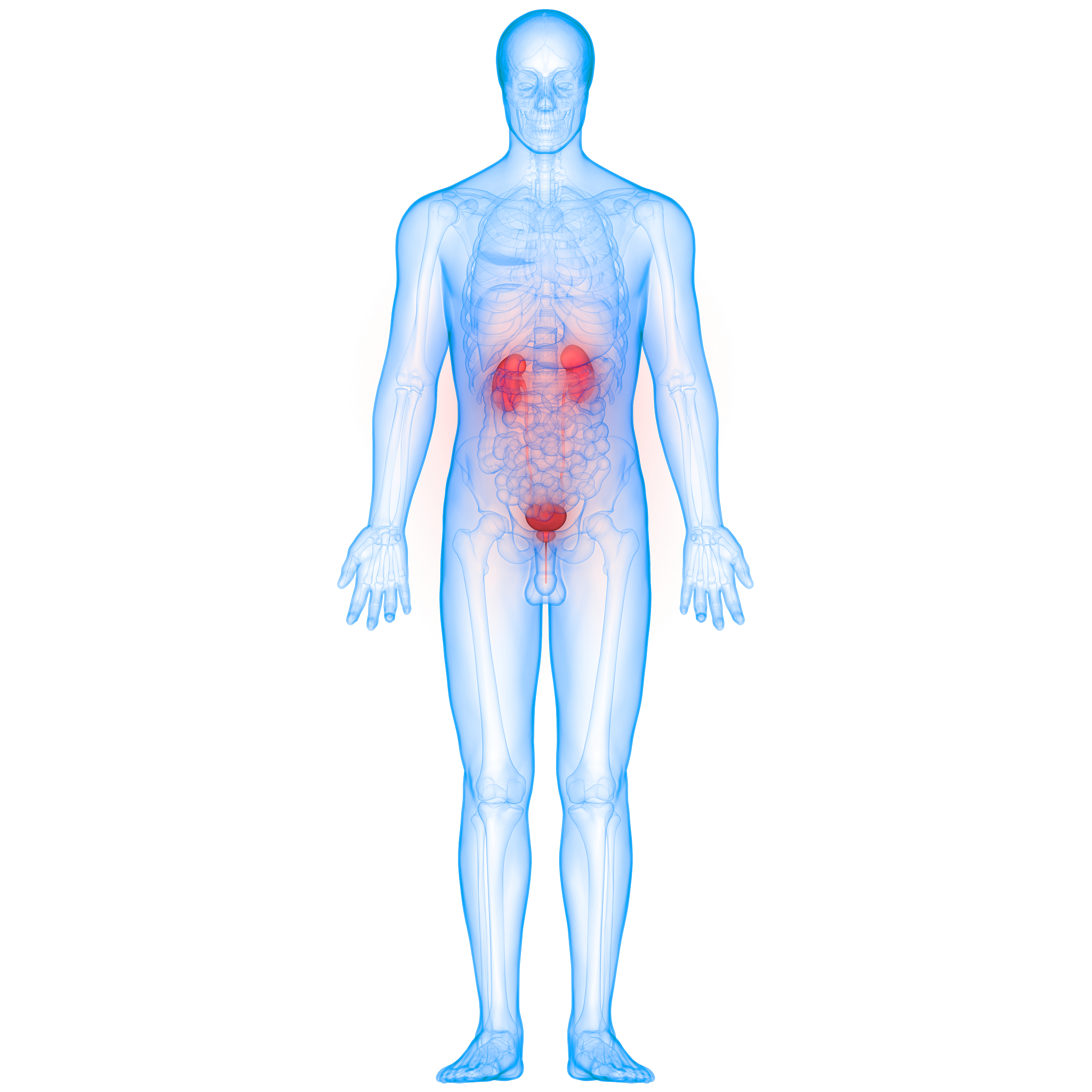 更改另外一种表达方式：良性前列腺增生Benigh prostate hyperplasiaBPH是引起男性排尿障碍最常见的泌尿外科疾病且随着年龄的增加 其患病率逐渐升高1。