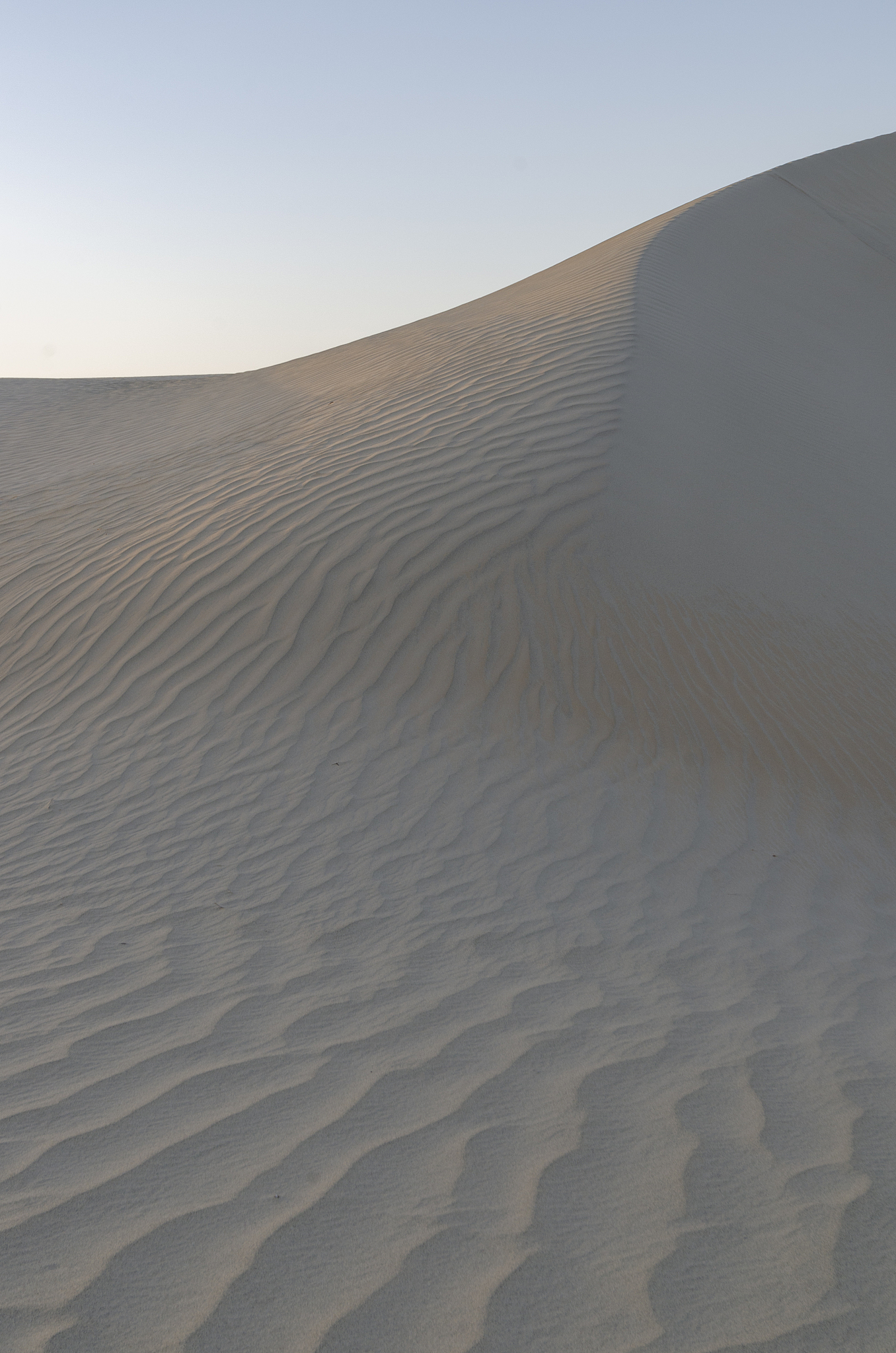 为什么塔克拉玛干沙漠中的干是第四声