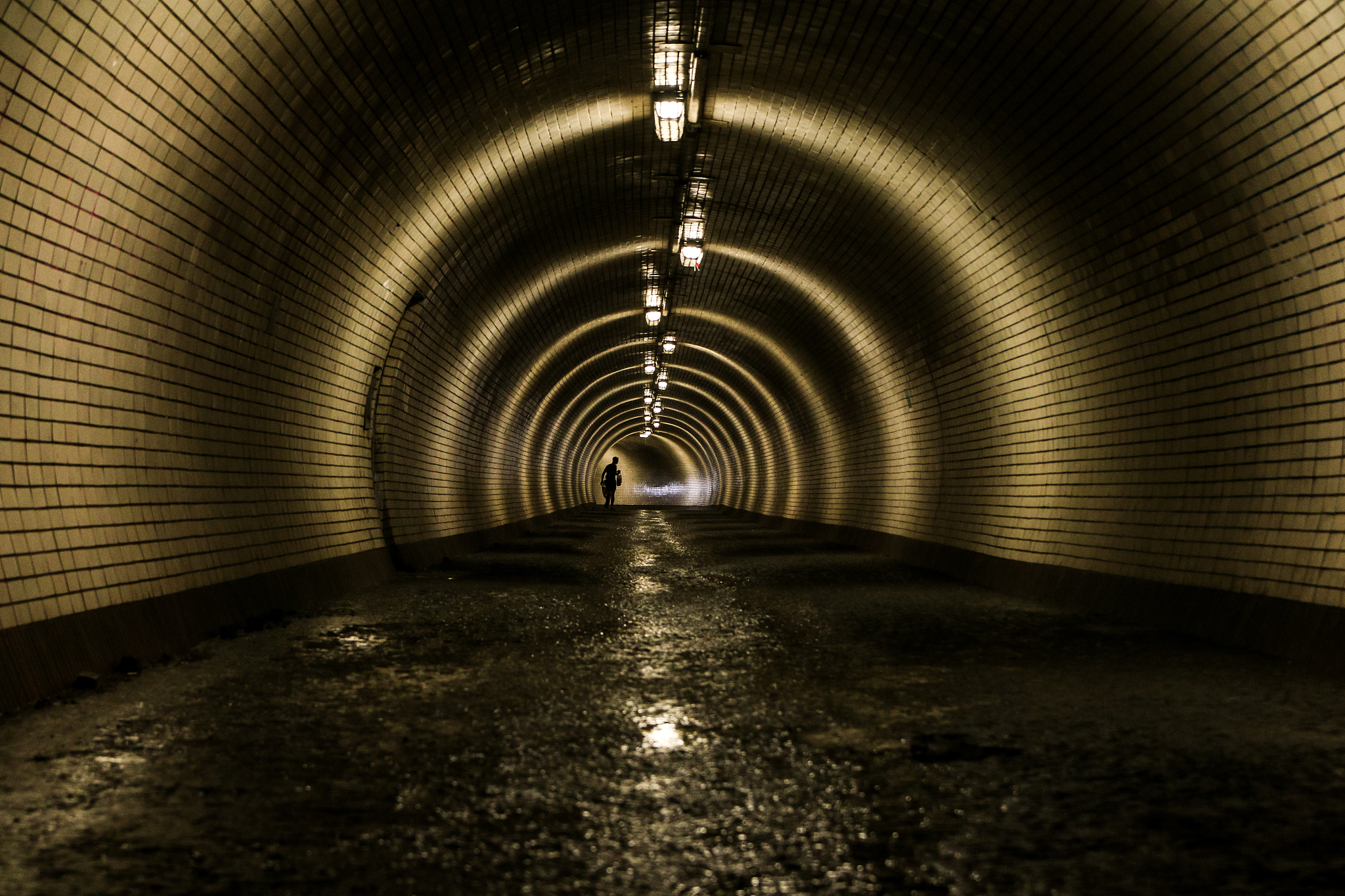 灵魂归属：你身后藏着什么？