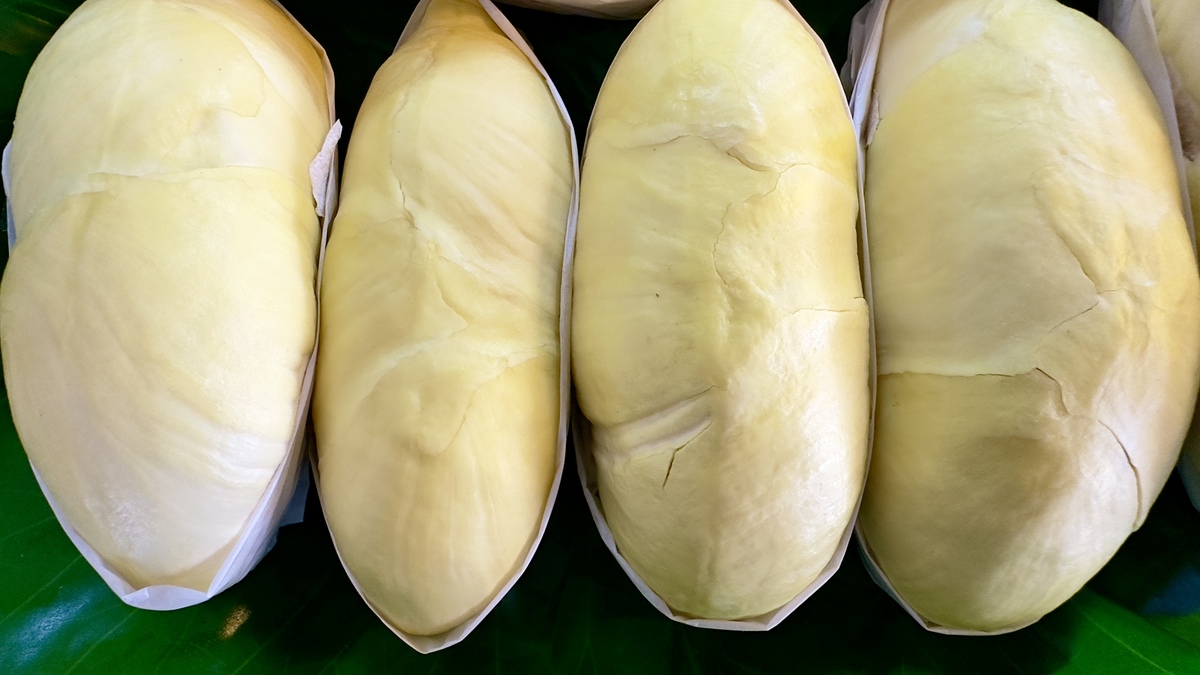 为什么花胶有这么多好处