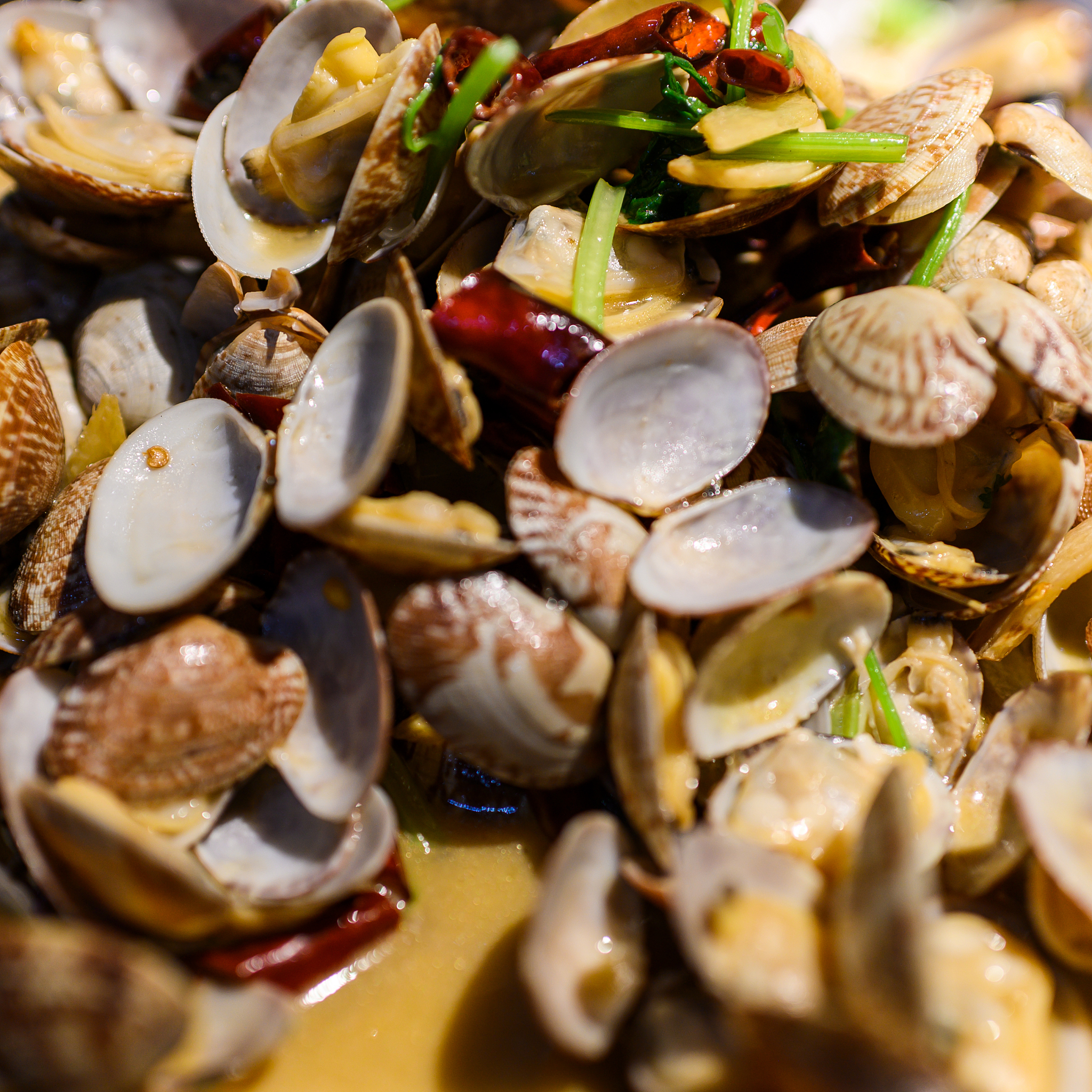 娄底职业技术学院中职部招生专业及详细介绍 - 2023年最新招生信息