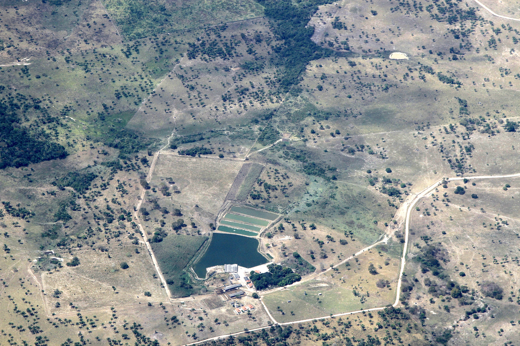 region 与area 有什么区别