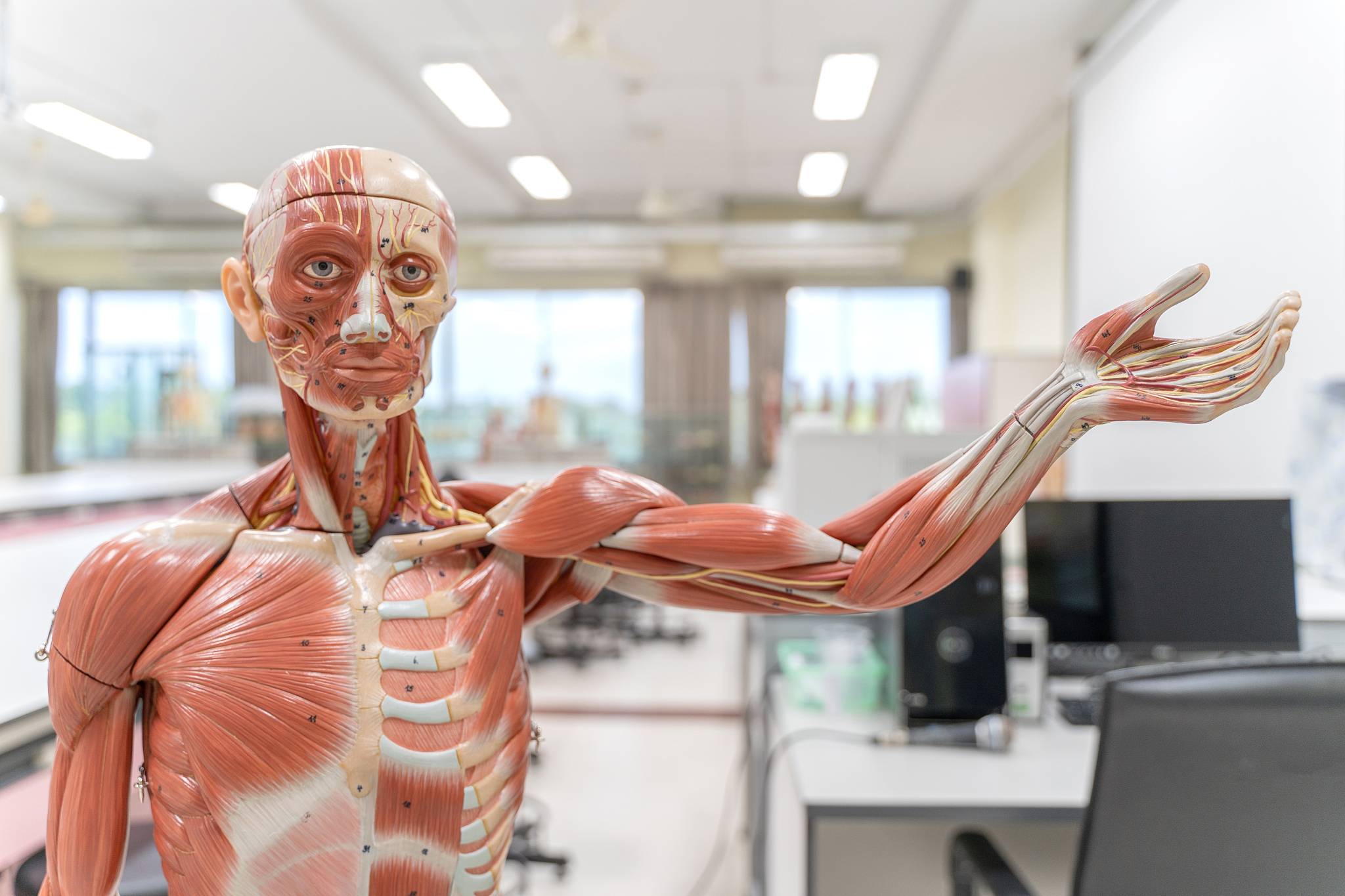 预防医学专业课程有哪些 预防医学主修专业课程有什么