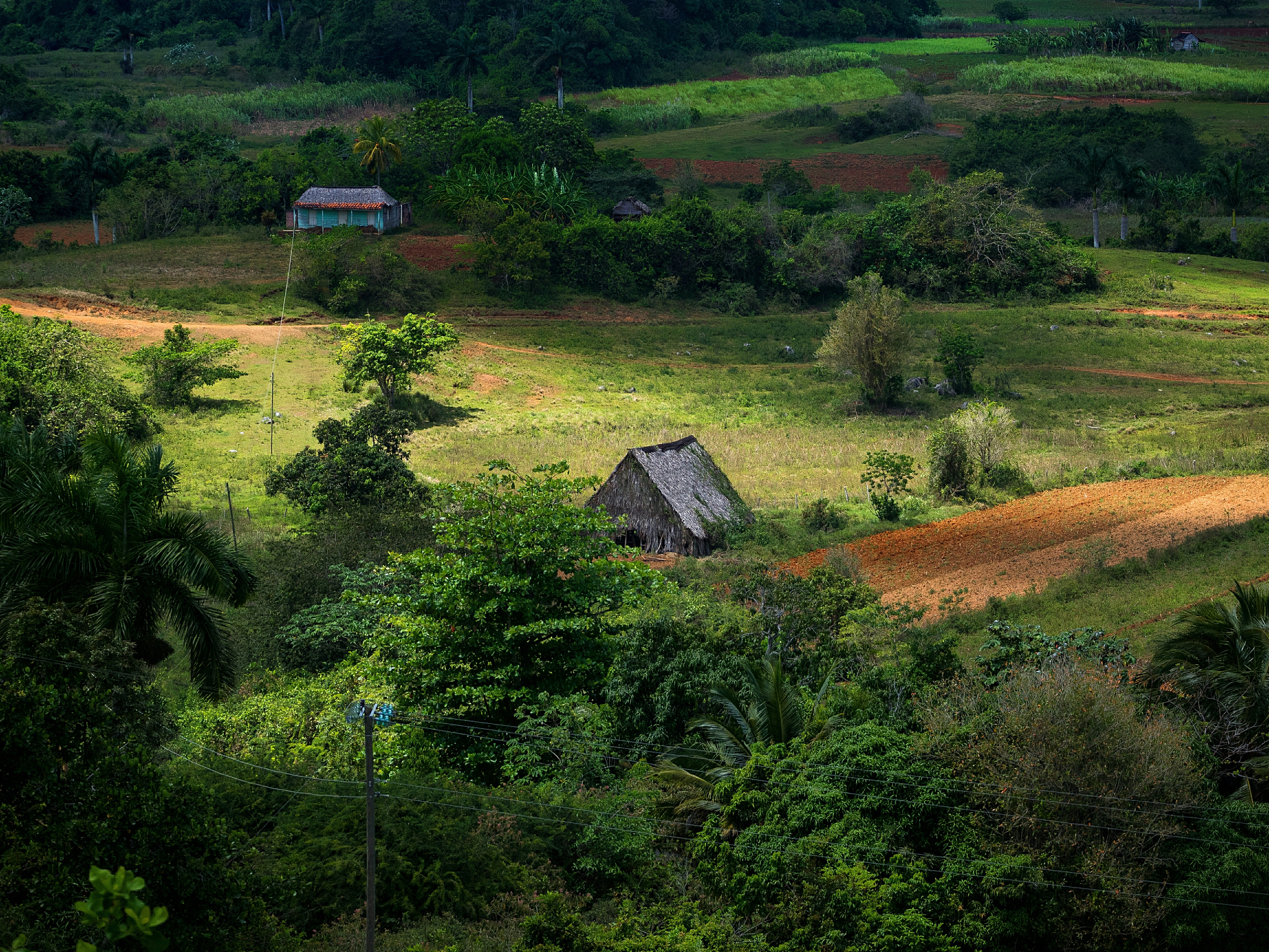 夏日小村庄：远离喧嚣，感受宁静与美好