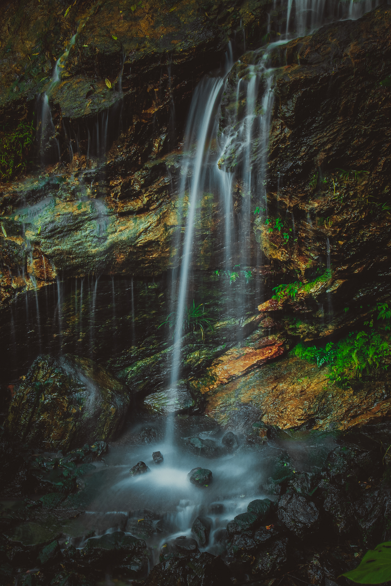 广元职业中学招生你知道多少？