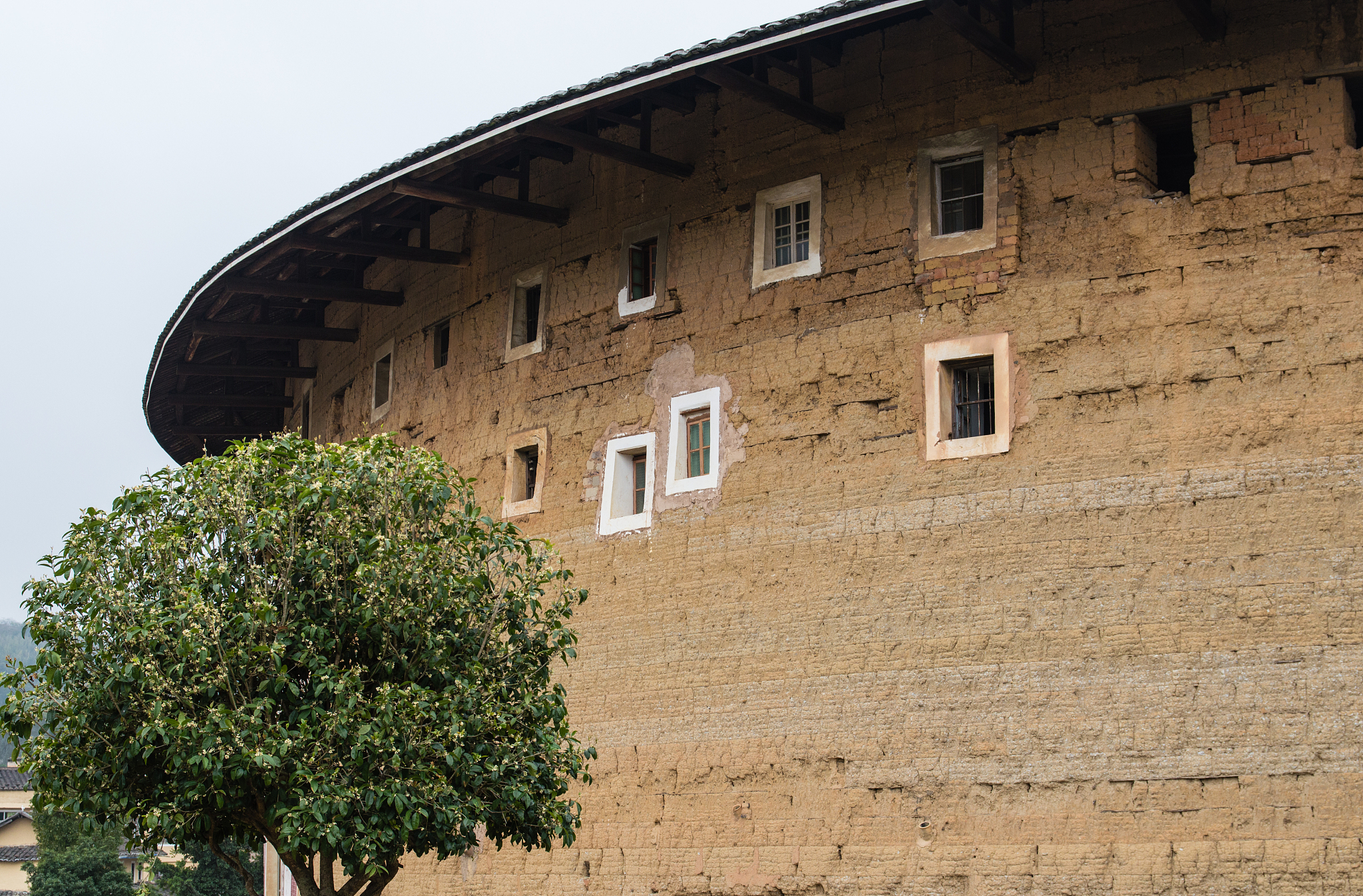 厦门南洋职业学院2020年招生简章