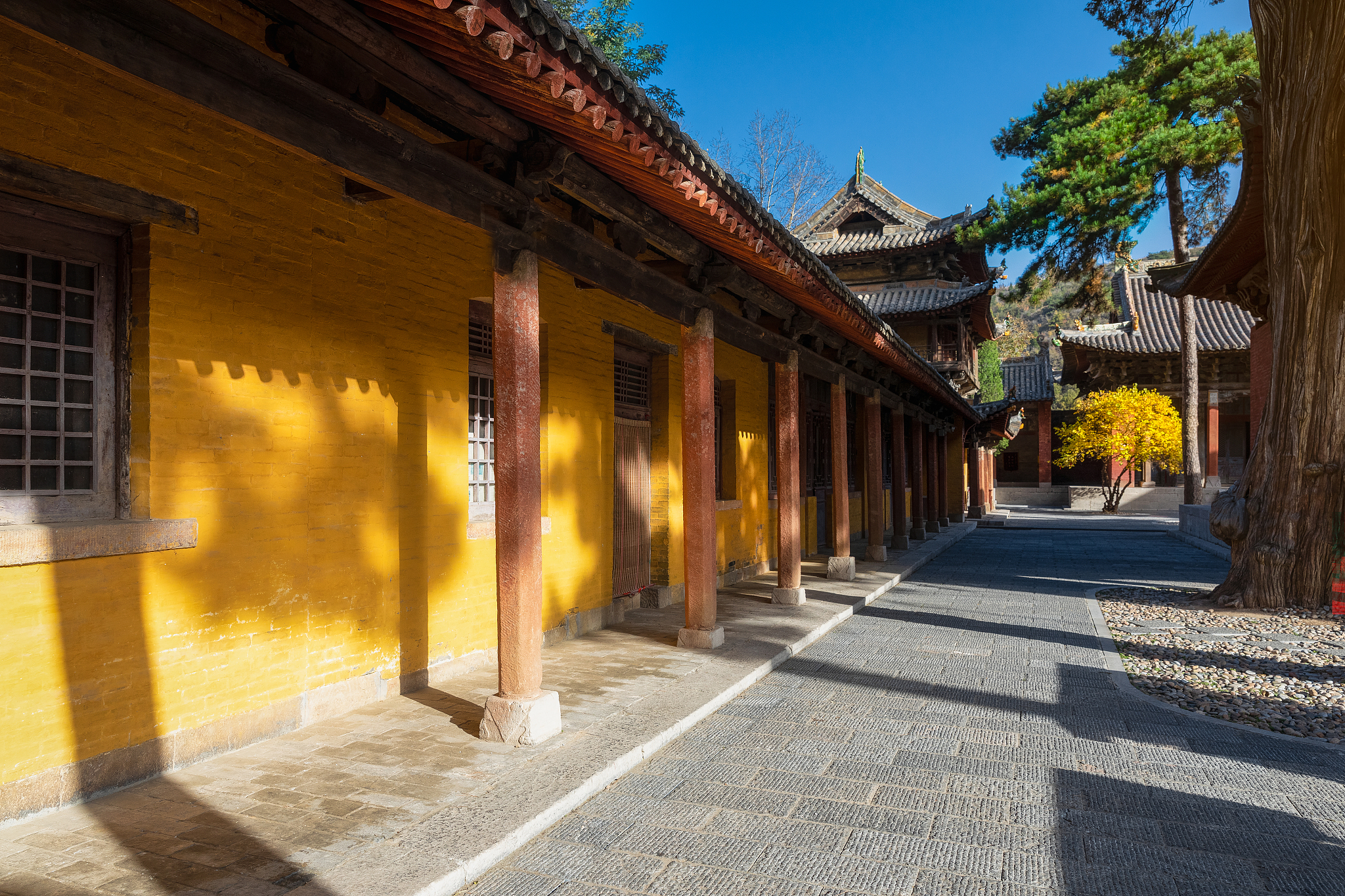 山西建筑职业技术学院会计与审计专业：就业前景与发展方向