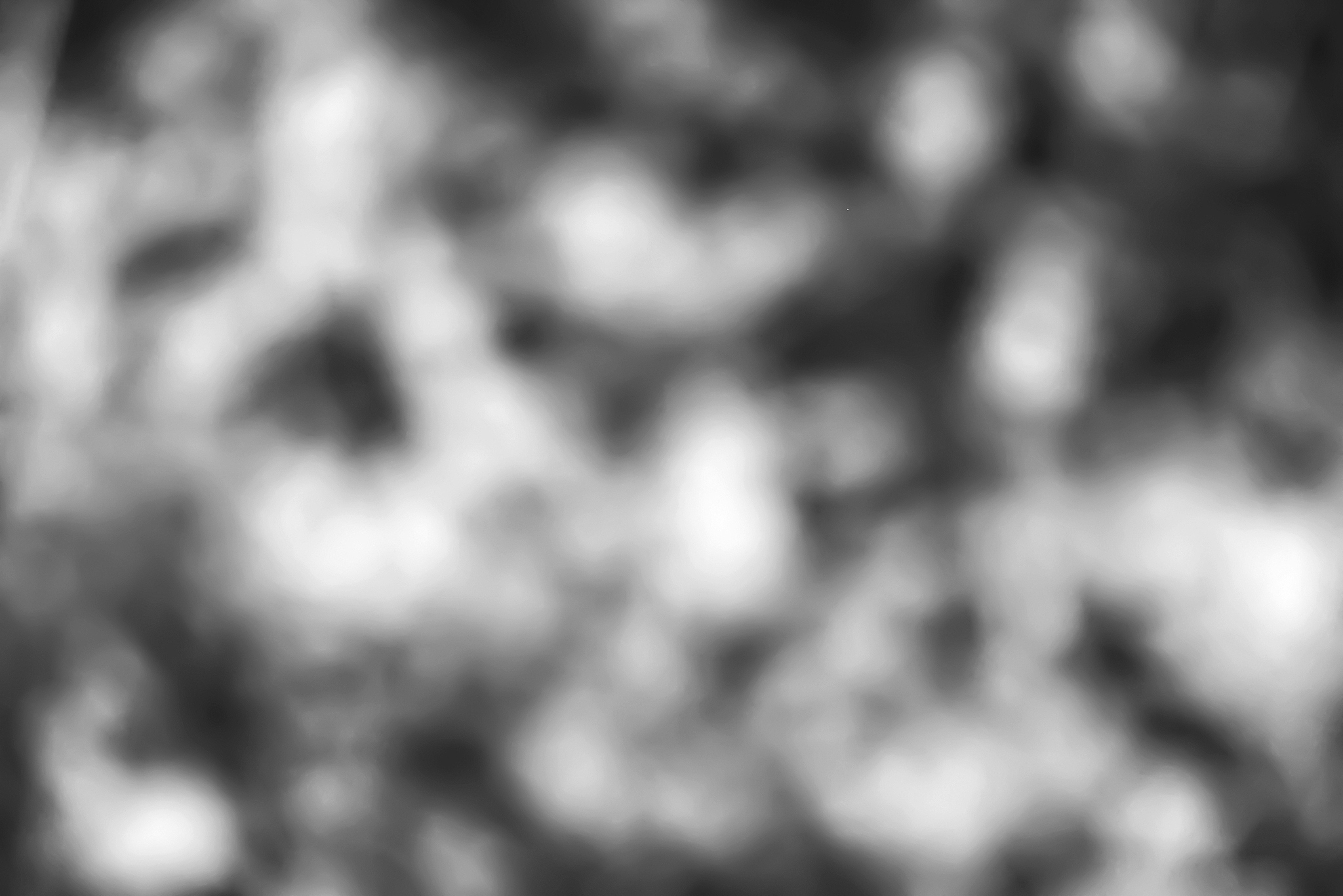 C++ OpenCV: 将彩色图像转换为灰度图像并进行高斯模糊