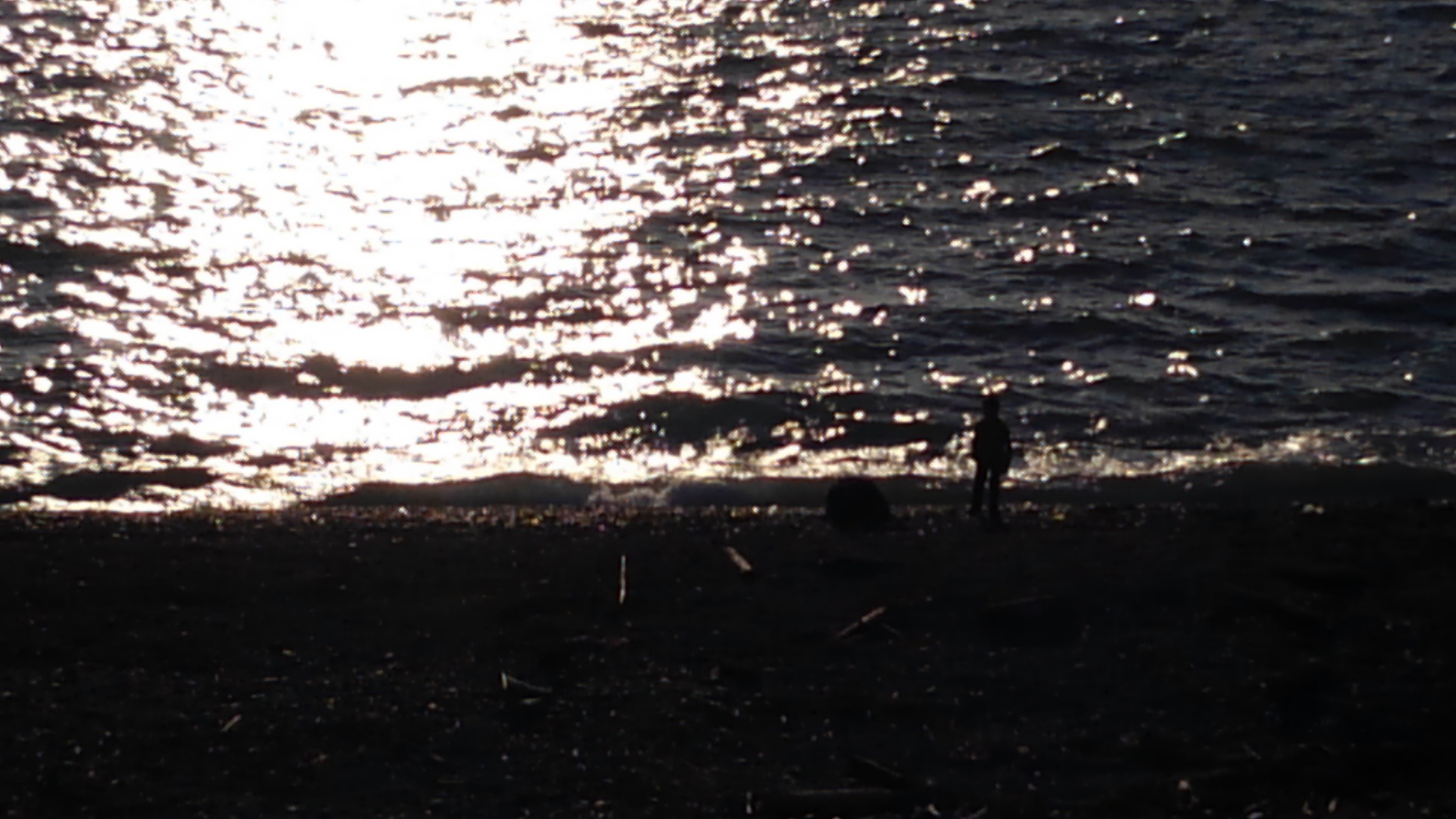 chatGPTHello! How can I assist you today黑色余火Im sorry Im not sure what you mean by 黑色余火 Could you please provide more context or clarify your question Im here to assist you to the best of my abilities几