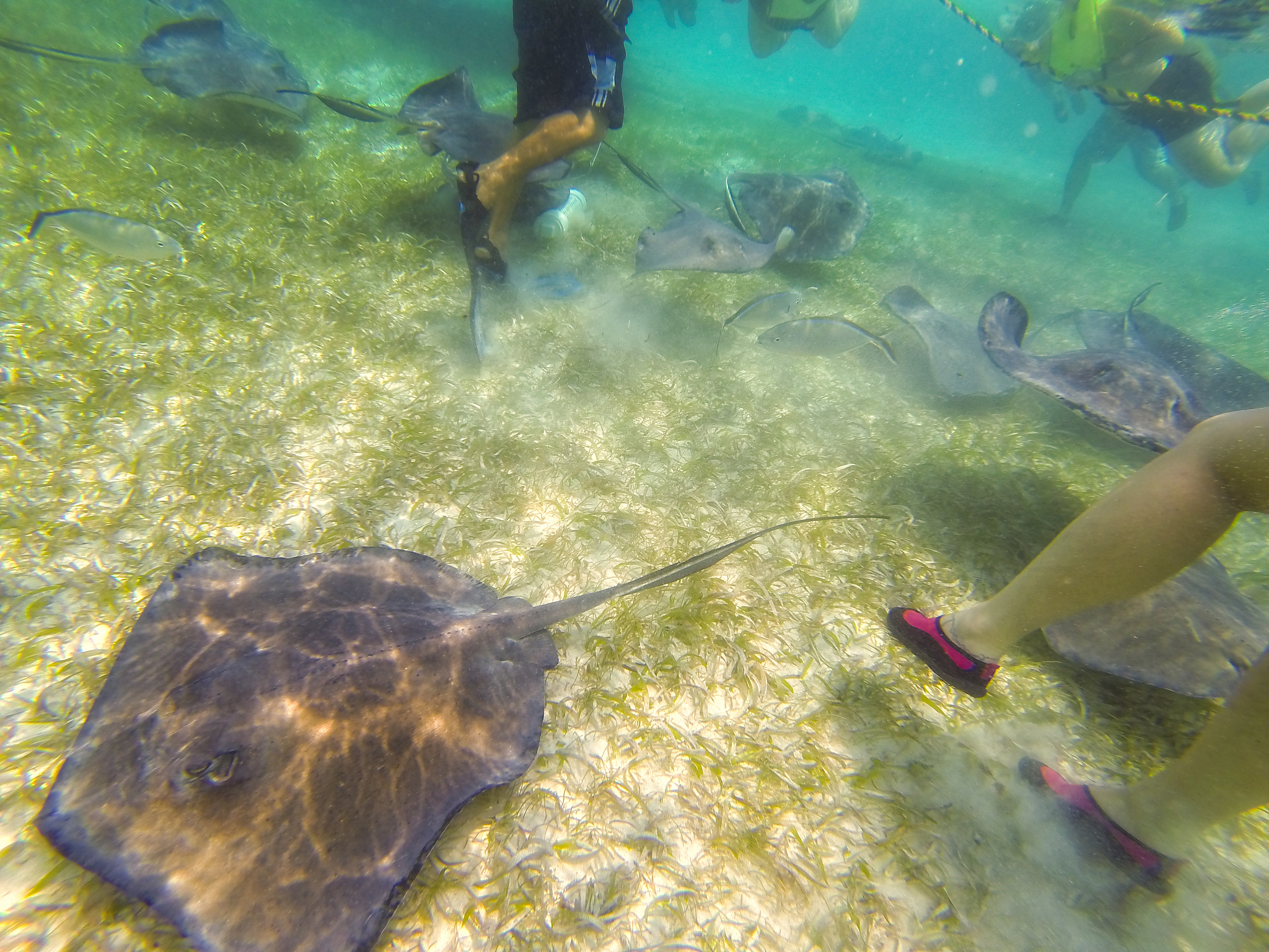belize