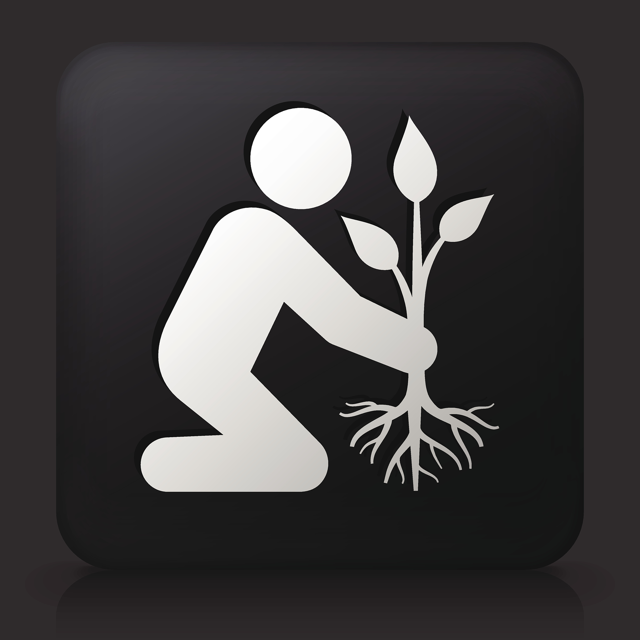 四棵树等距离种植方法