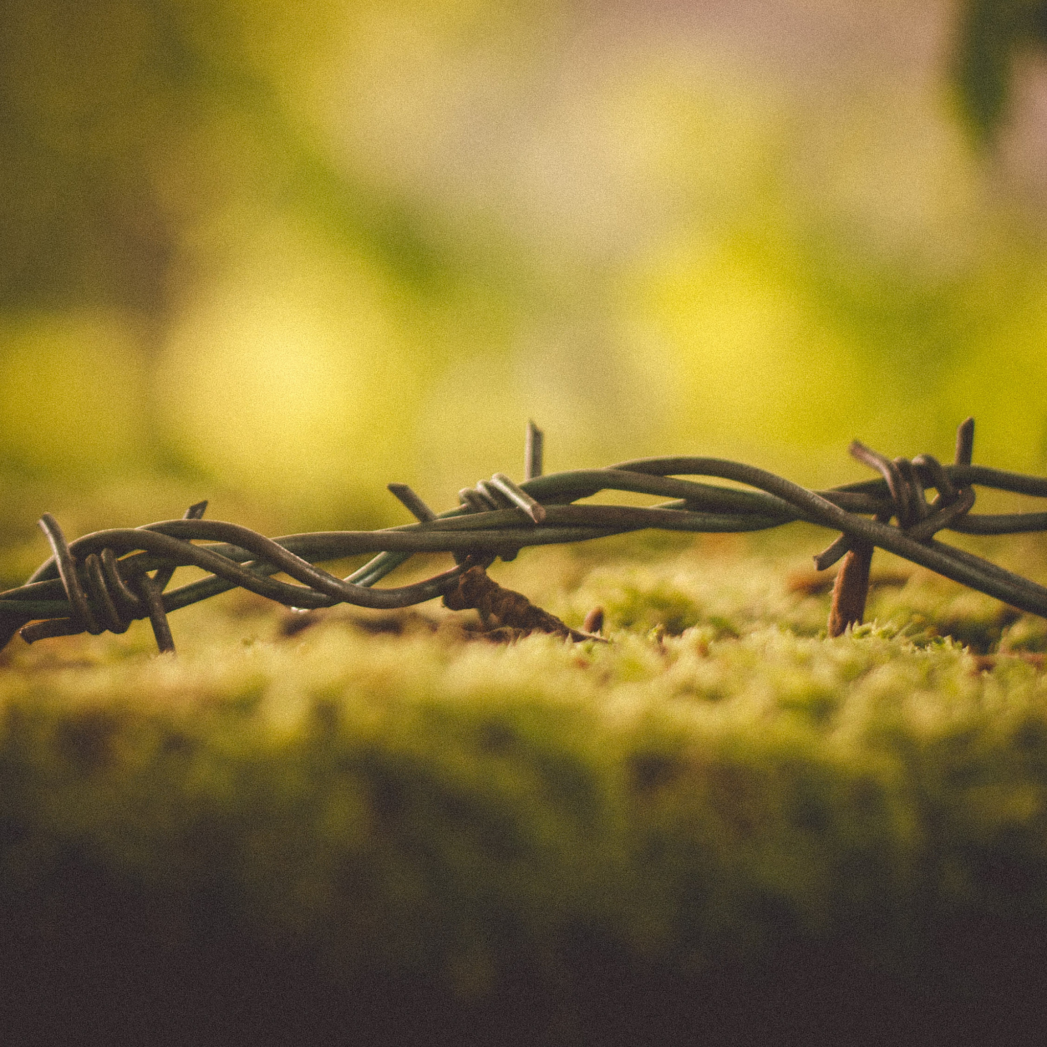 机械自然观、朴素自然观、辩证自然观的区别与联系 - 自然辩证法概论