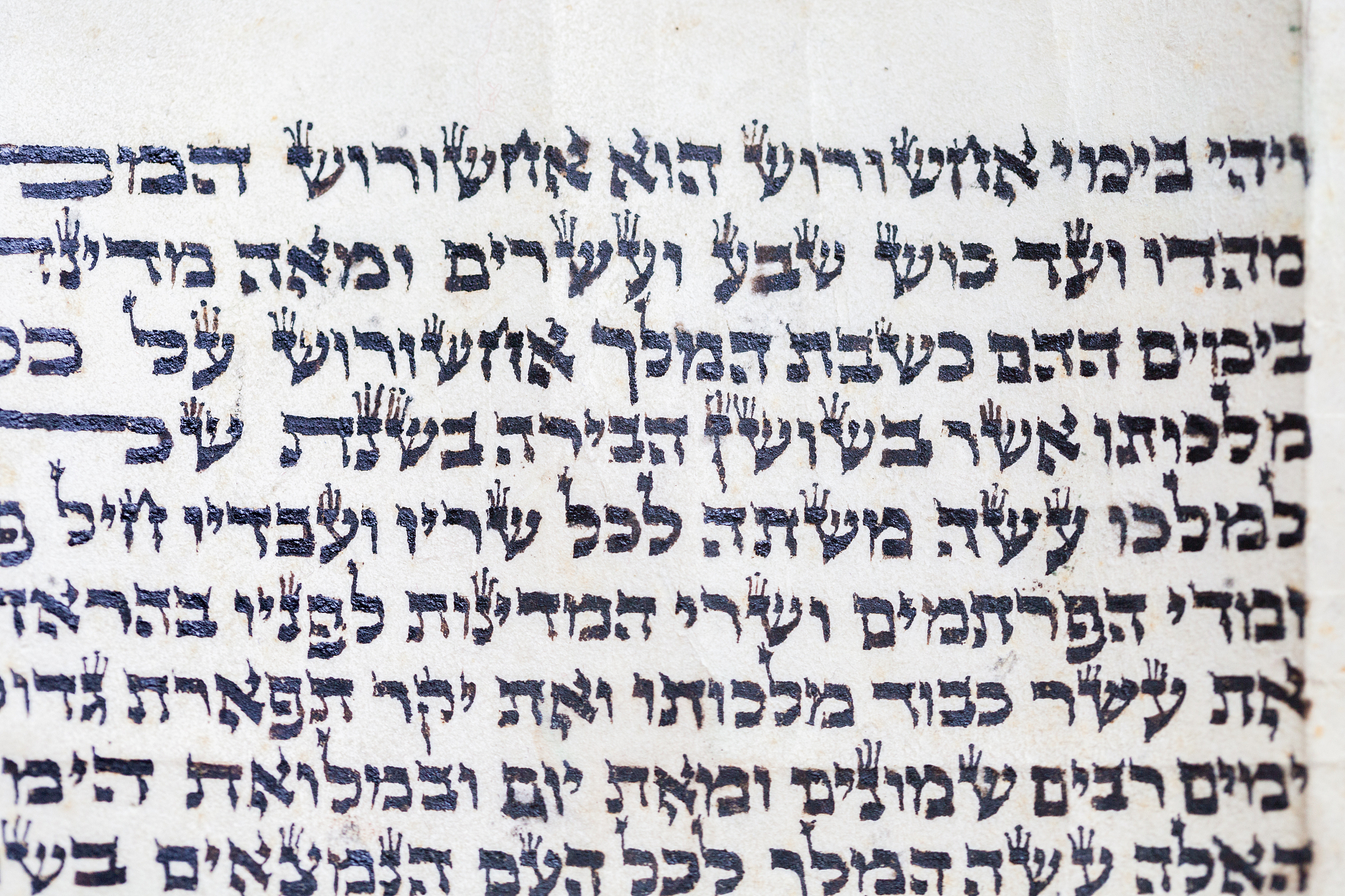 purim scroll