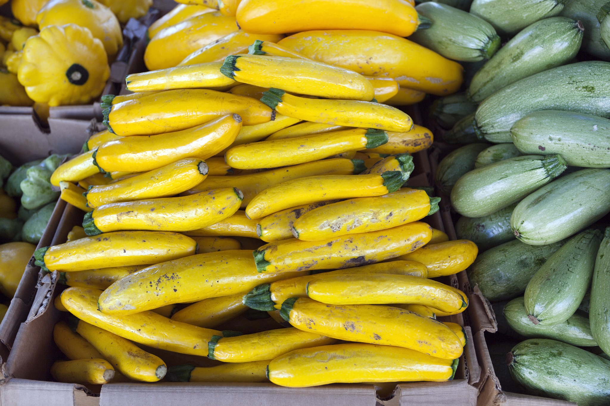 肃南县职教中心2023年有哪些专业