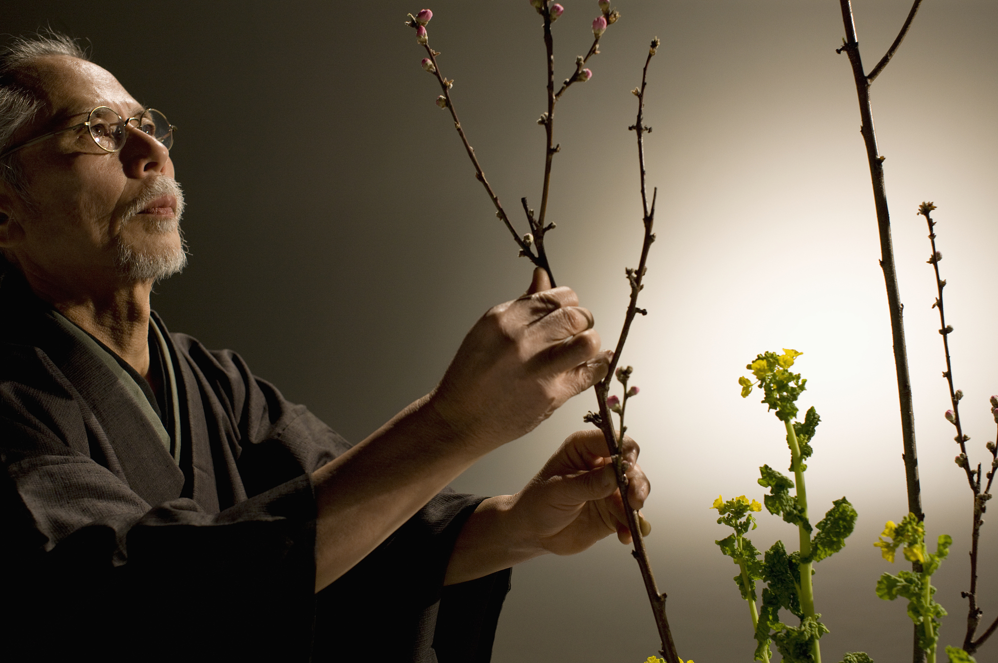 mature man arranging flowers, studio shot