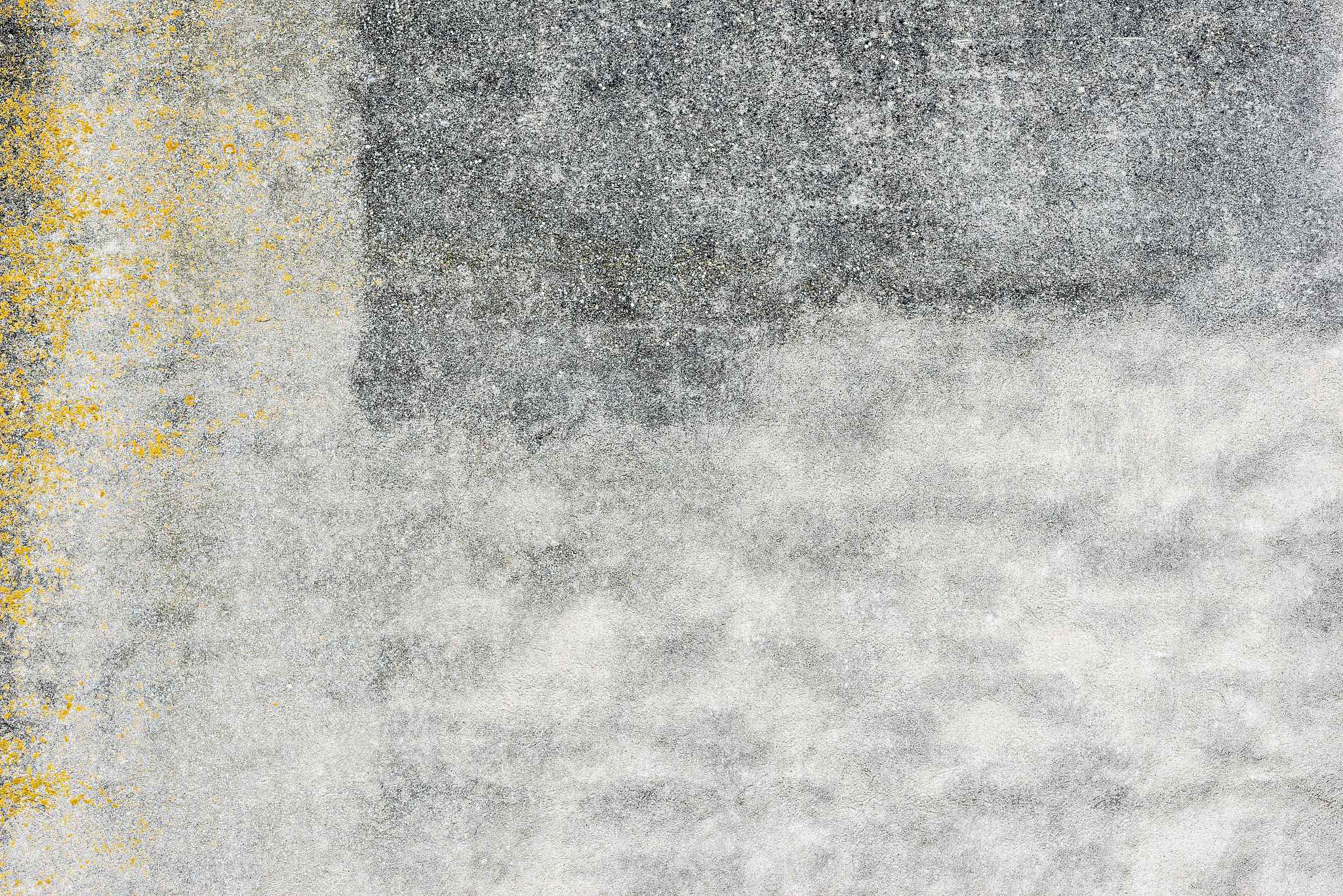 霉菌 菌群失衡 什么导致得