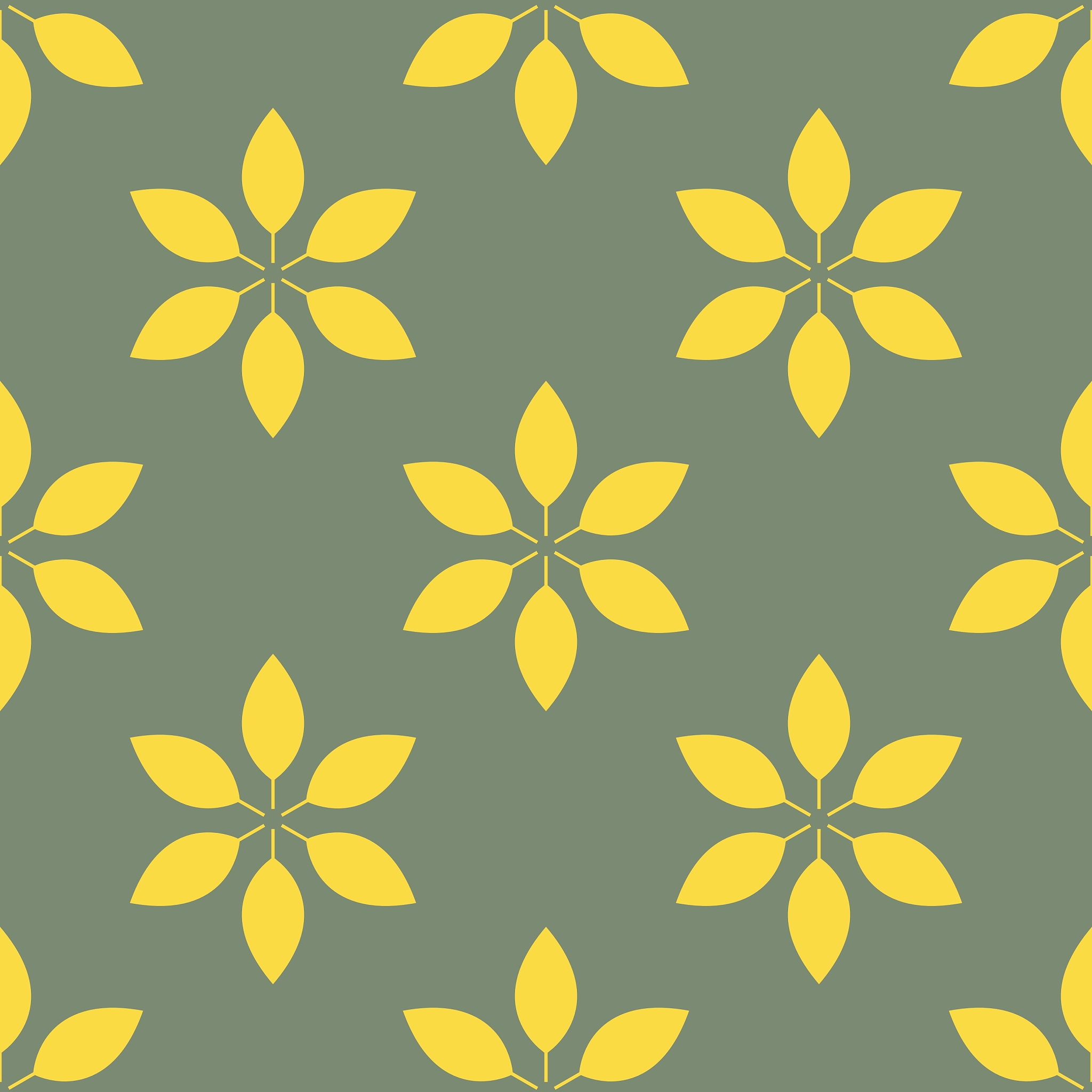 图像分块处理：将图片分割成592x592像素块