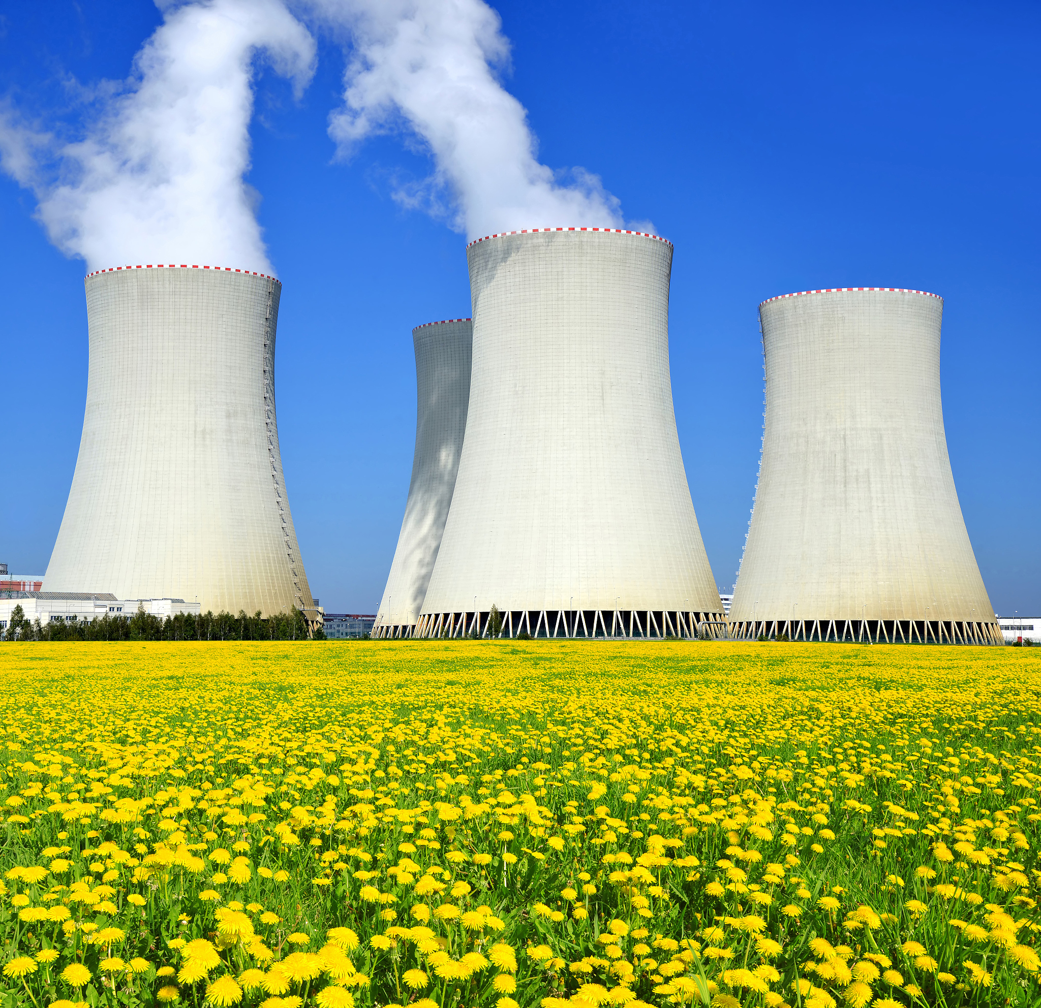 半衰期详解：放射性物质衰变速度与持续时间