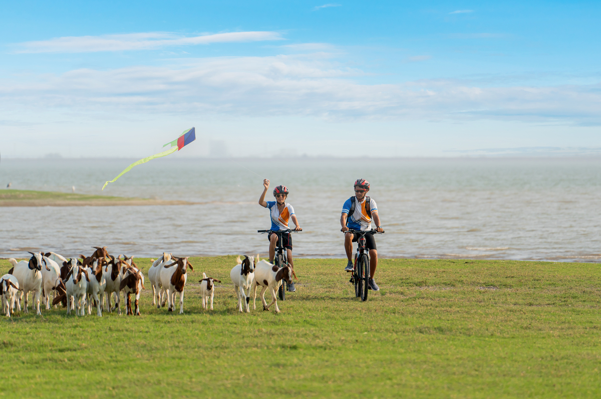 根据毕业设计题目：情牵草原欢笑满城——内蒙古六日亲子游线路设计方案长沙出发具体分析本次毕业设计的任务