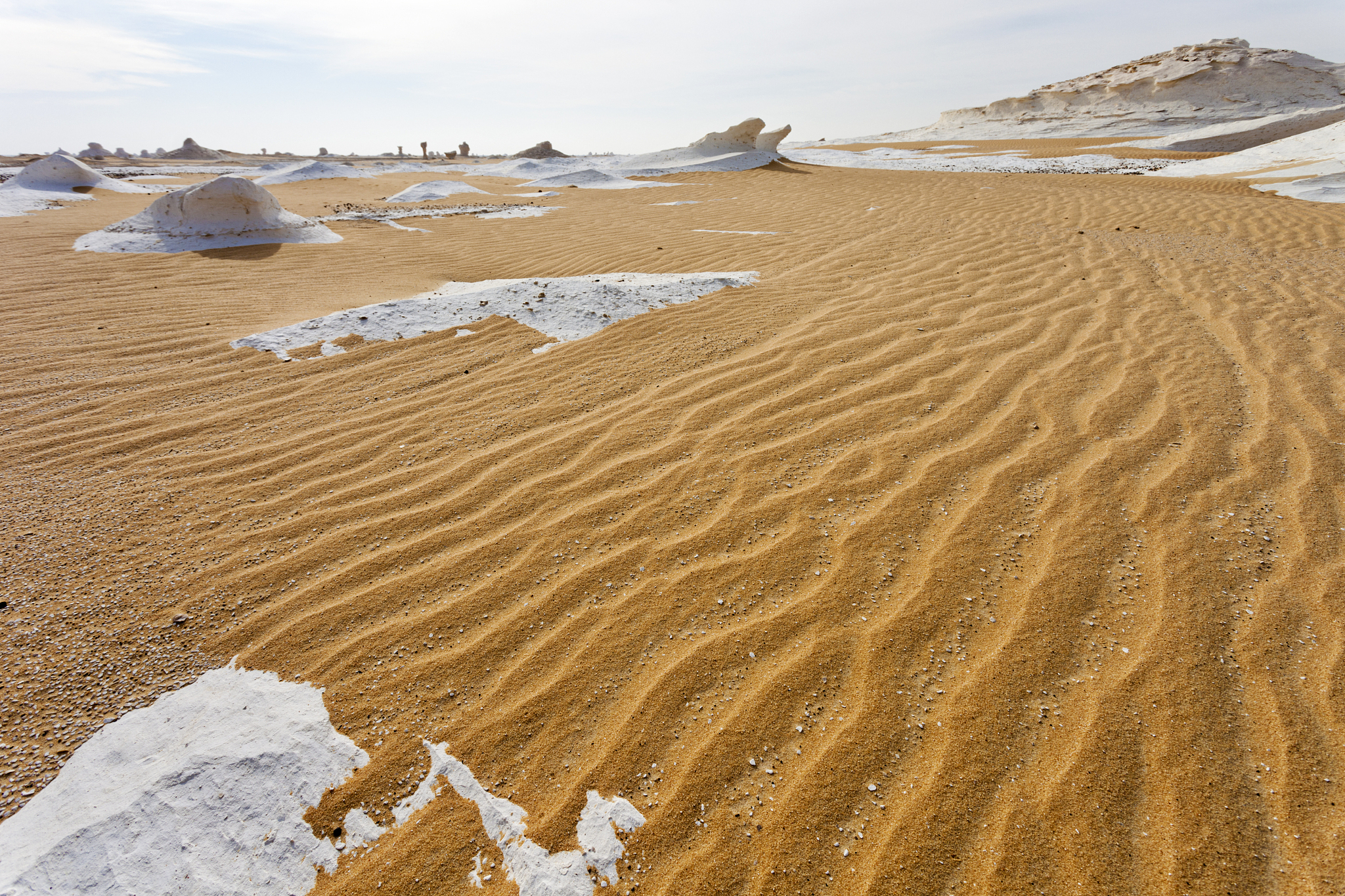white desert