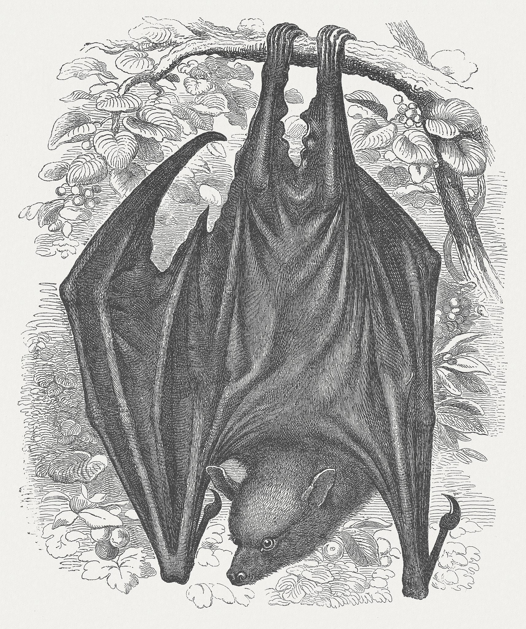 旧日支配者和旧神和新神是什么