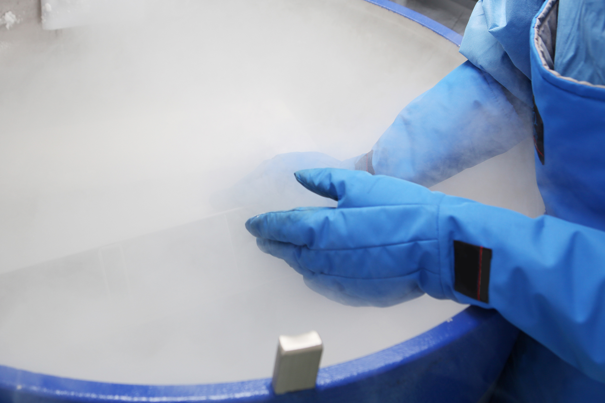 黑龙江生物科技职业学院新能源汽车技术油电混合动力技术专业优势怎么样发展前景好不好呢