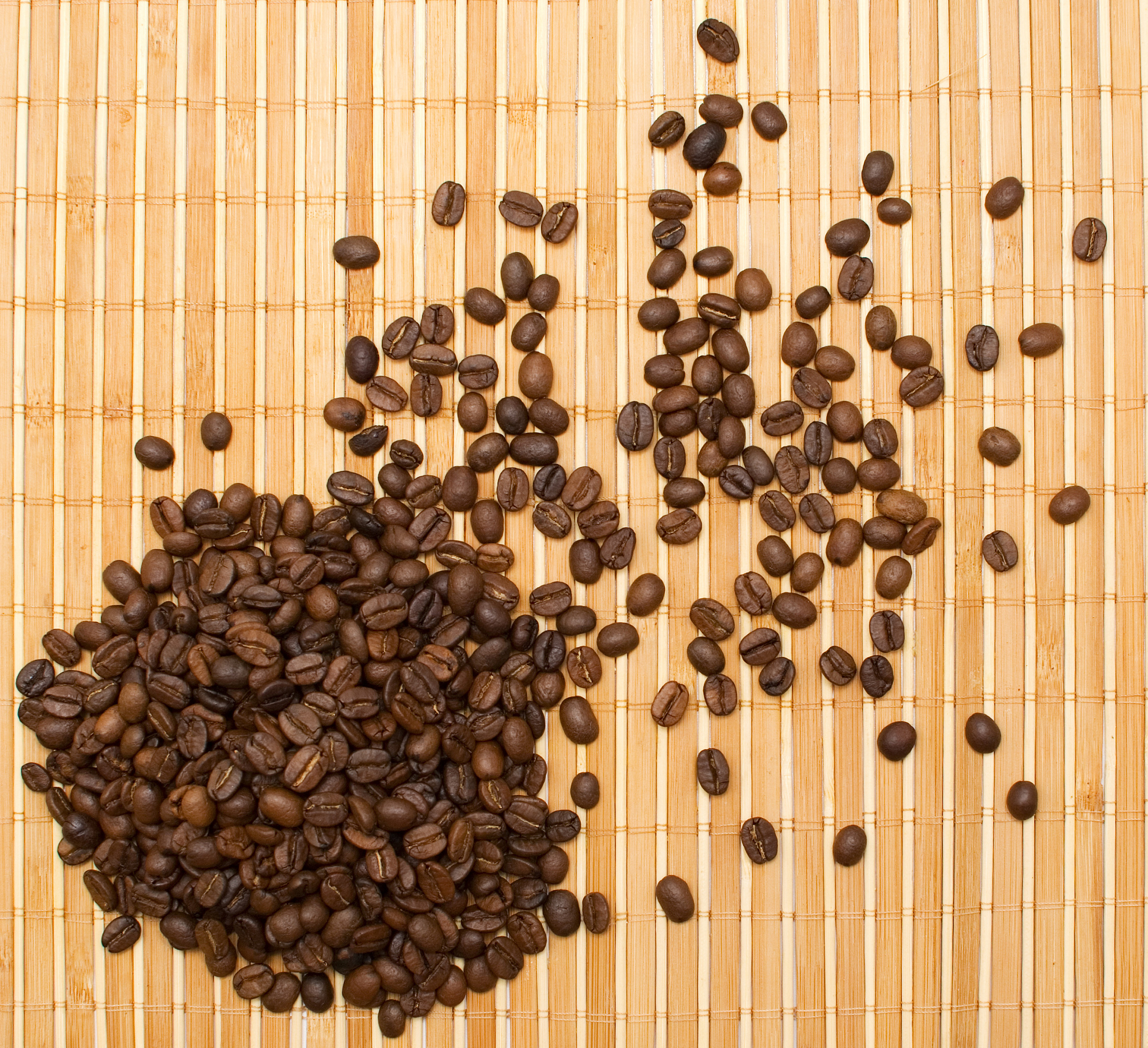 猫屎咖啡的制作原理：从果实到杯子的奇特之旅