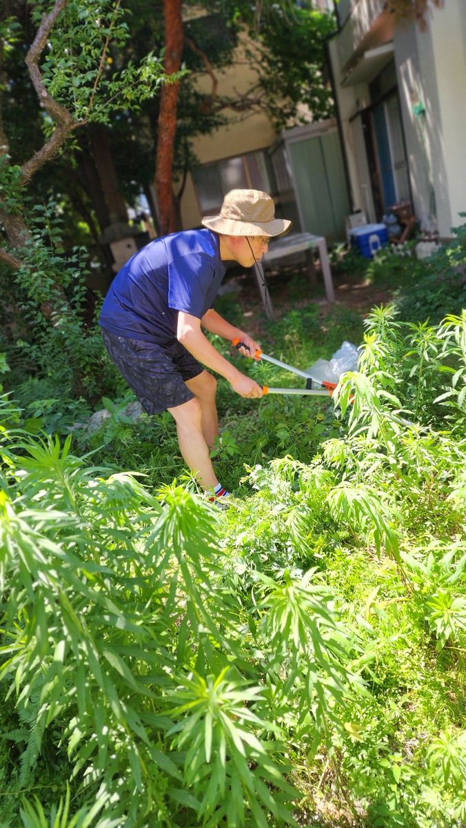 在台风暴雨过后我们注意到园区部分物业门前出现了一些杂草。为了维护园区干净、整洁的形象我们开展了除草工作在除草工作期间我们还注意到商户门前的地面情况及时清理残留的碎屑和垃圾使门前更加干净整洁。同时我们也提醒商户门前定期清理杂草维护门前的整洁和美观。通过我们的努力园区部分物业门前的杂草问题得到了有效解决。我们将继续关注园区的环境问题积极开展各项维护工作为商户提供一个舒适、整洁的营商环境。换个说法