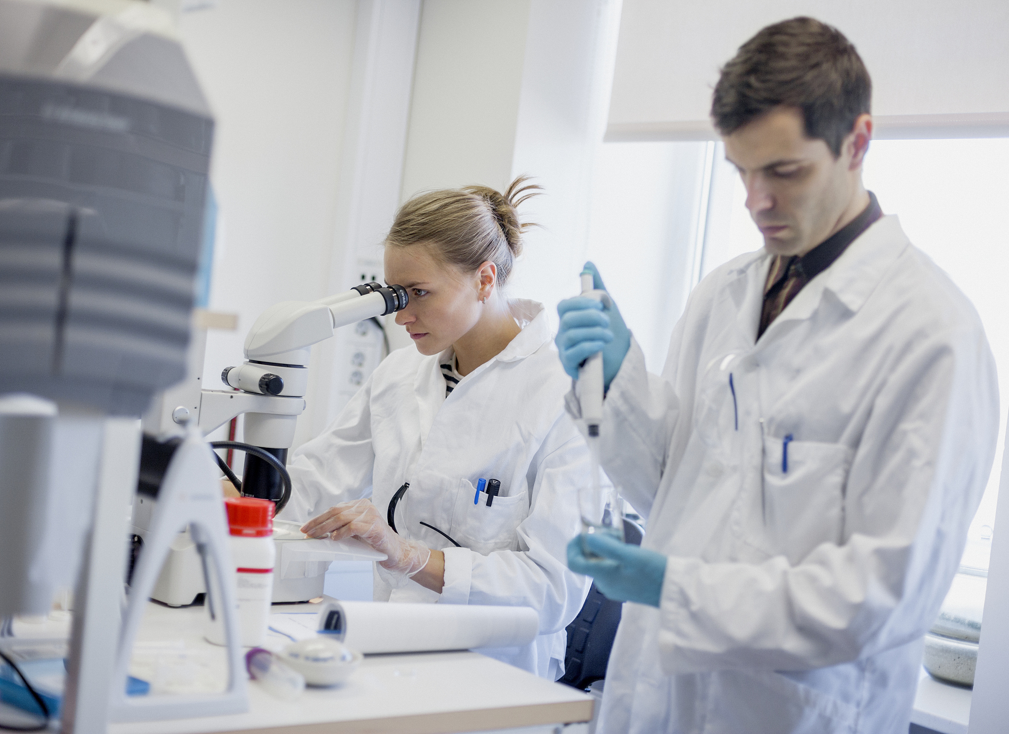 高中生物知识点总结 - 细胞、遗传、分子、生态、进化、技术、医学