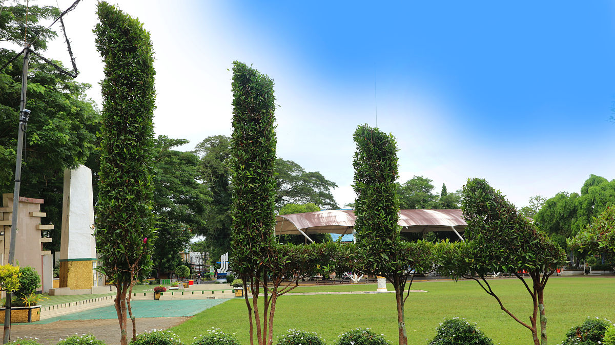 广西生态工程职业技术学院都市园艺专业怎么样？优势解析！