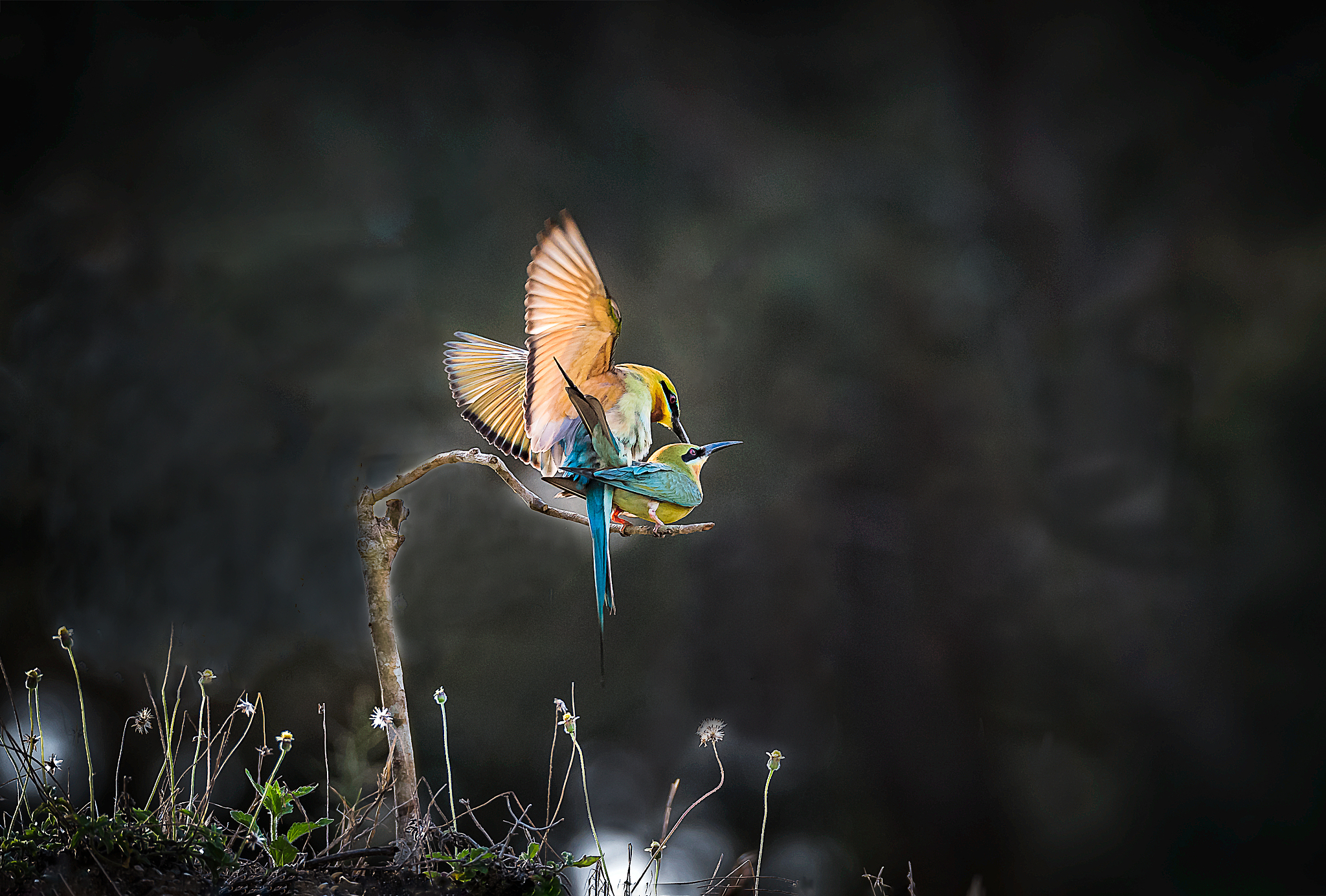 如梦初醒是什么意思