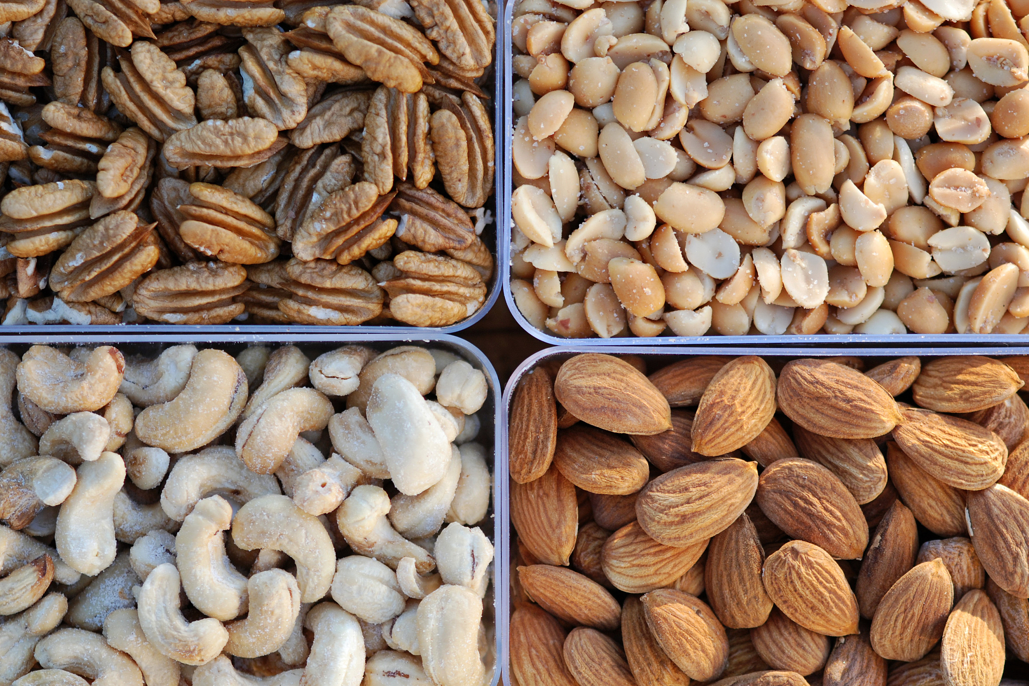 福州黎明职业技术学院食品营养与检测专业怎么样