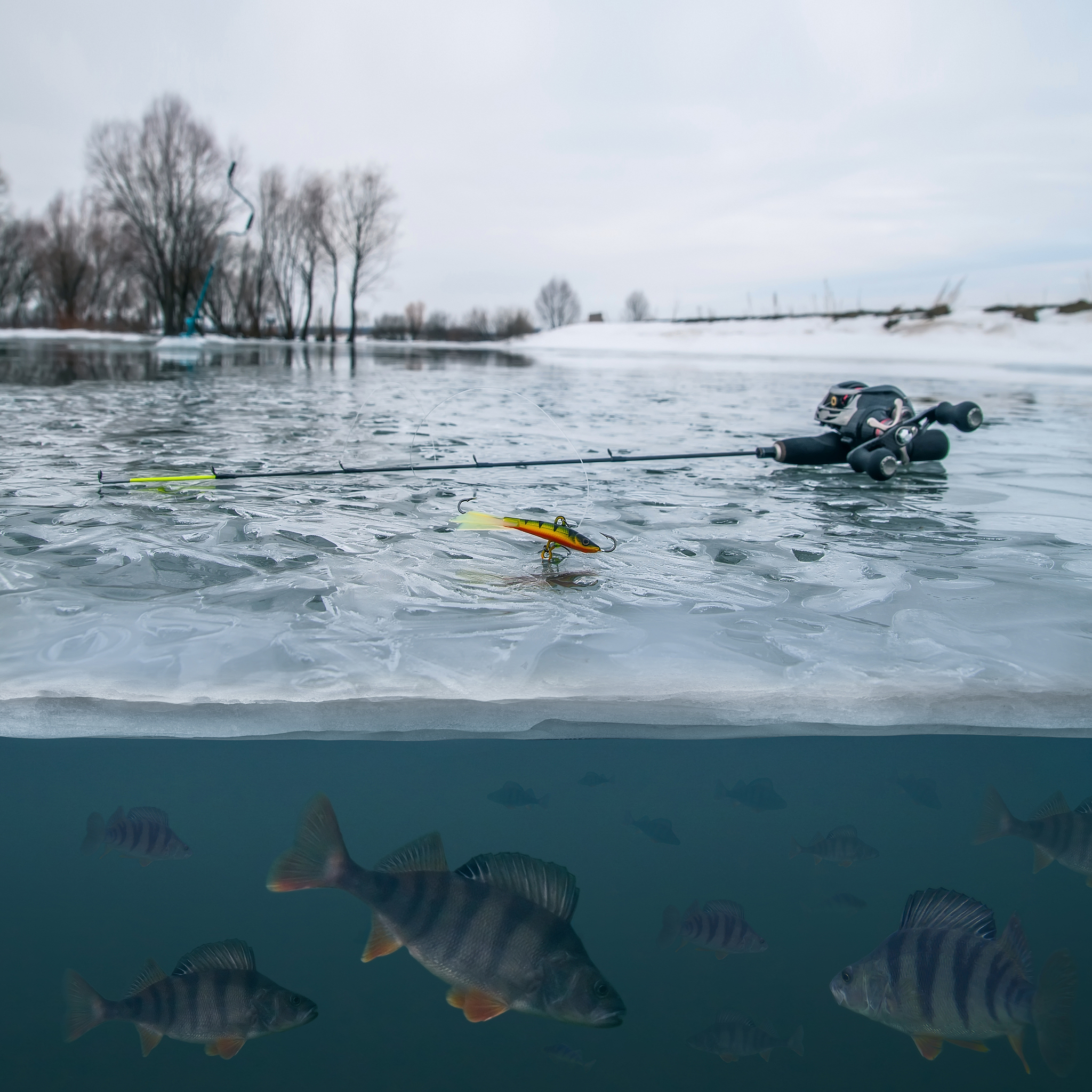 朋友：I bought an ice fishing hut recently cant wait to try it out this winter我该如何回答？