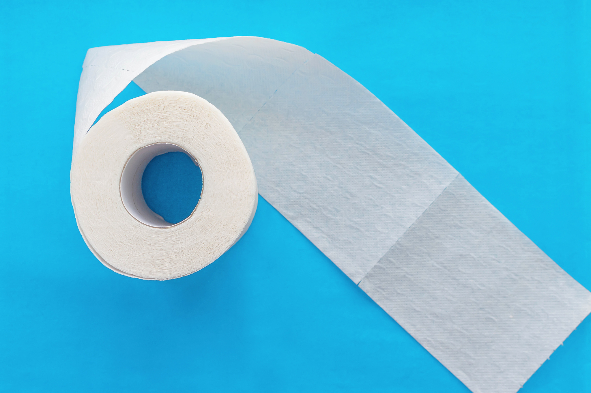 roll of white toilet paper on a blue background. close up.